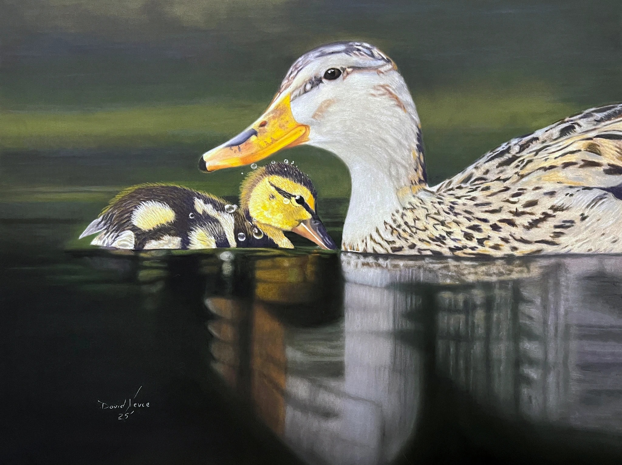 Ducks in a Row – Guided by Love