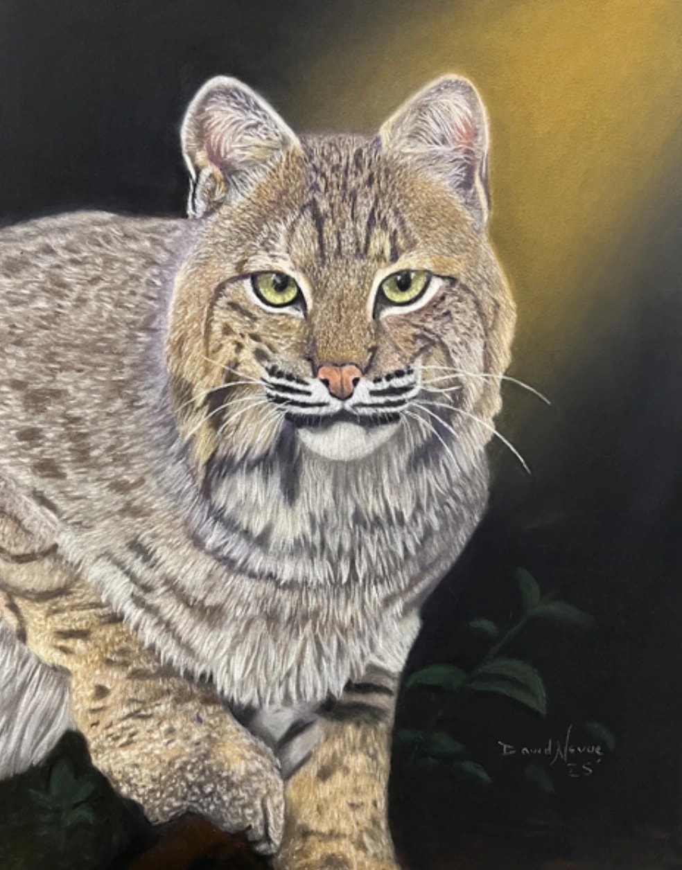 Bobcat’s Golden Gaze