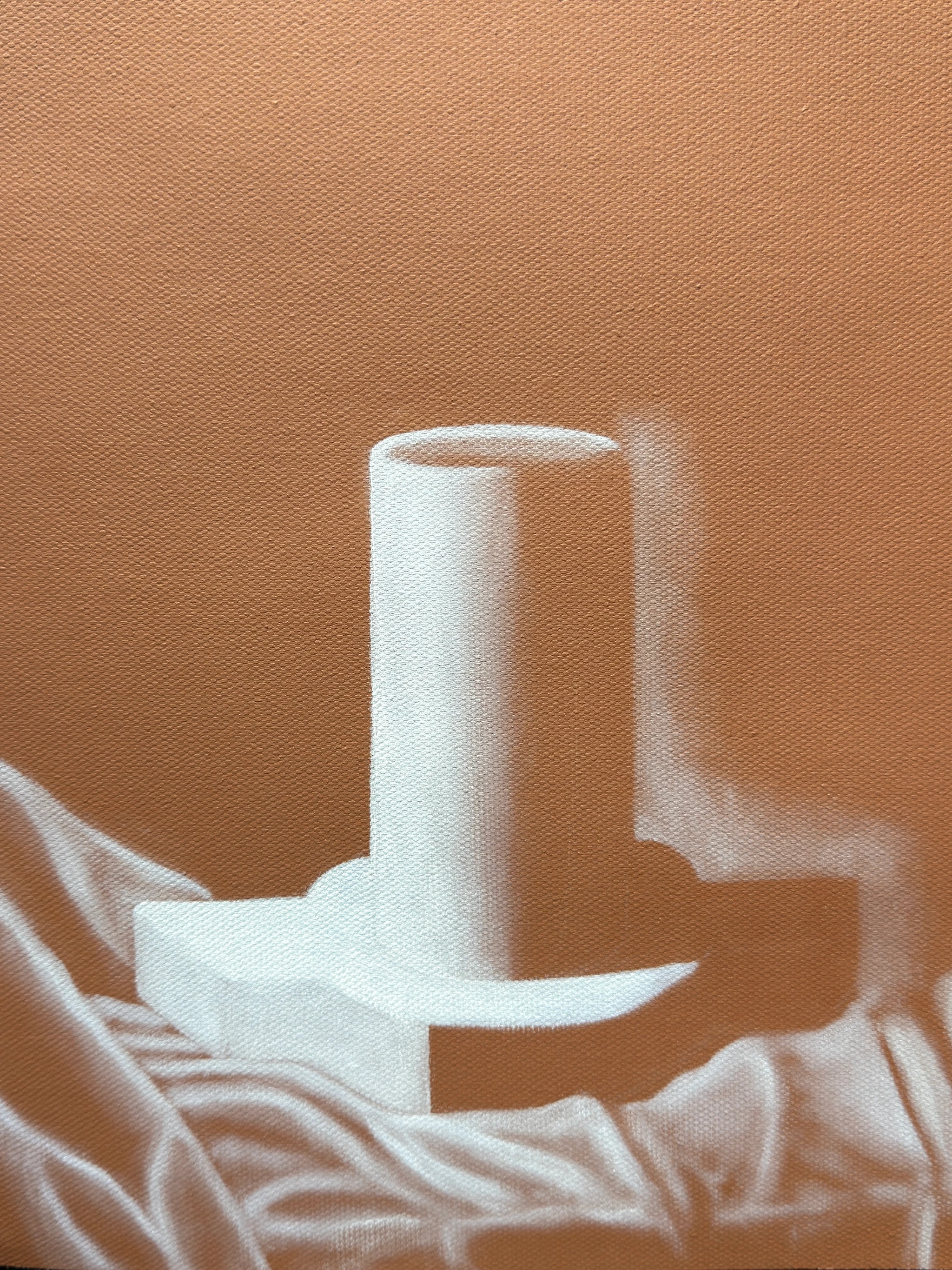 White Form on Earthtones