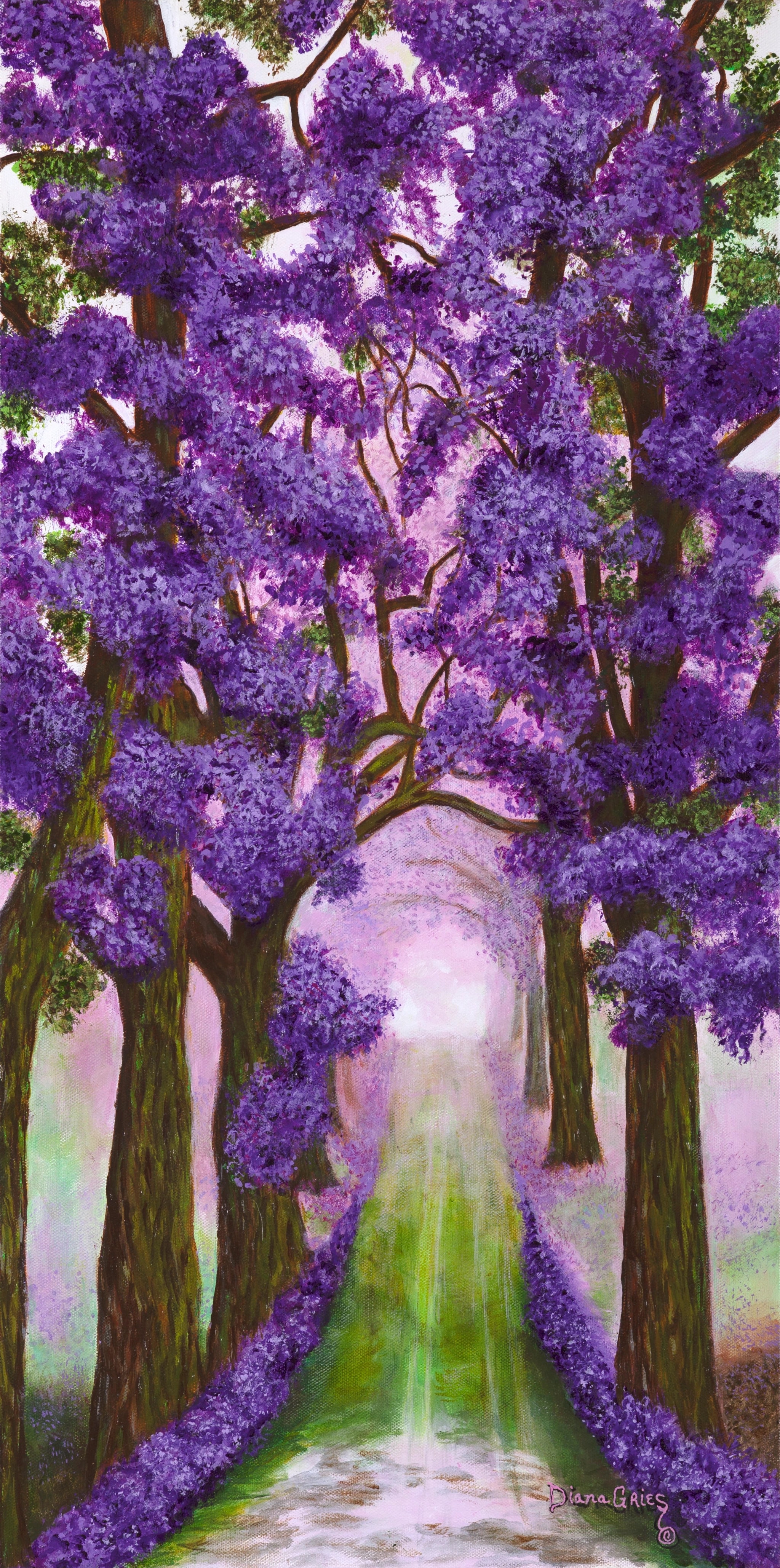 Jacaranda Path