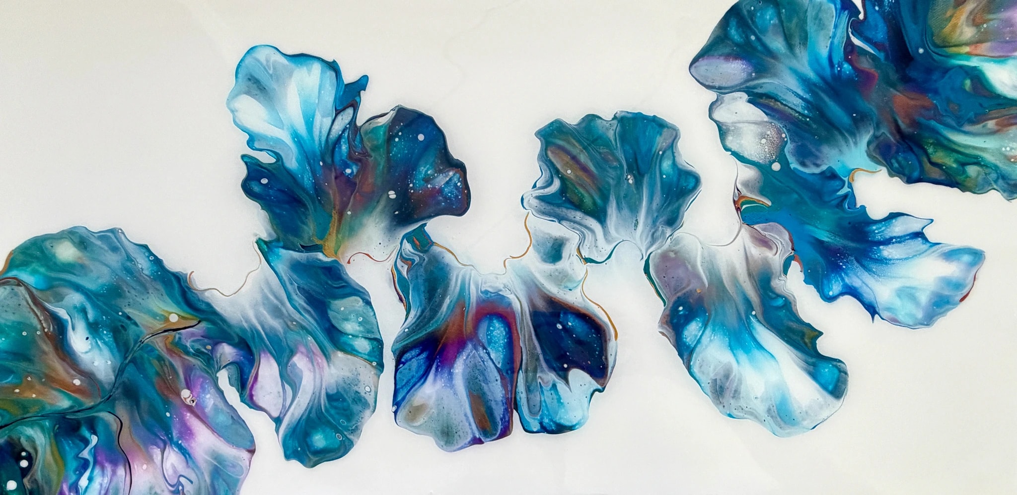 Blue Iris Bloom