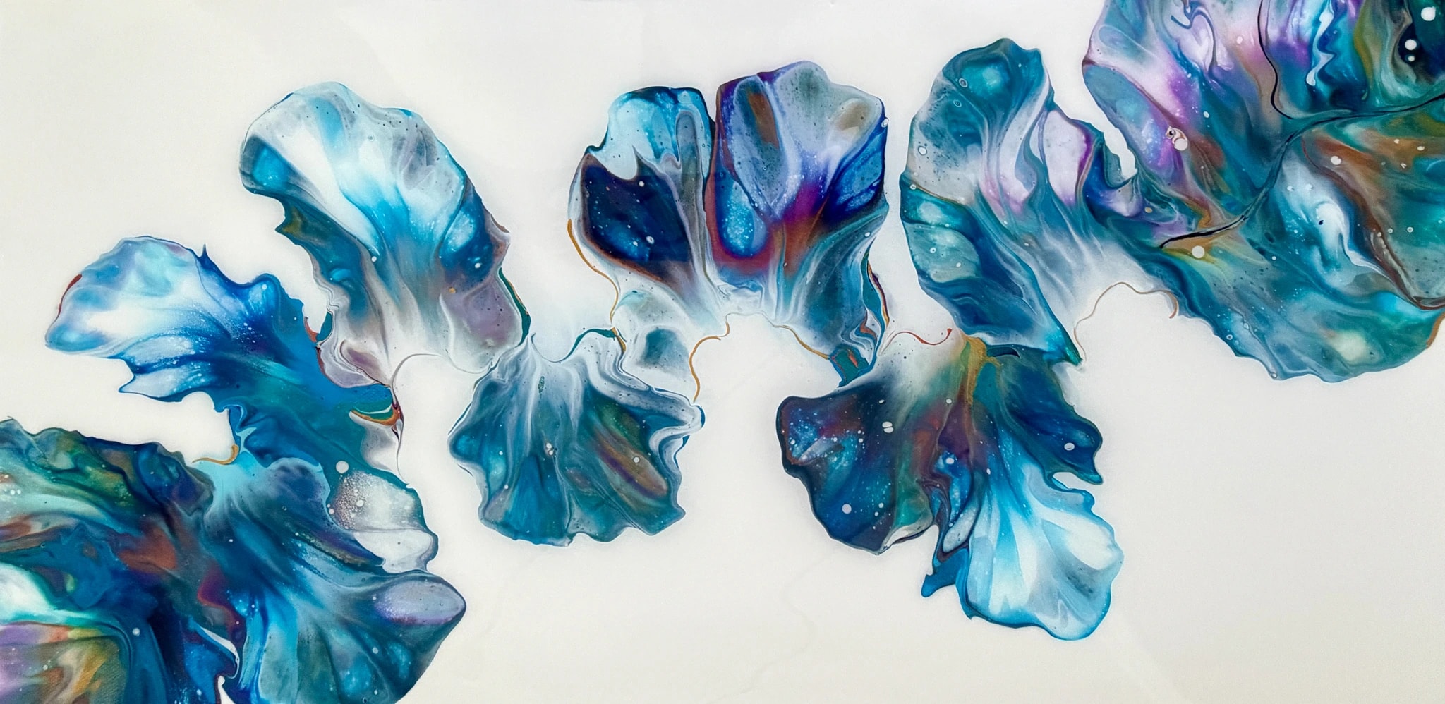 Blue Iris Bloom