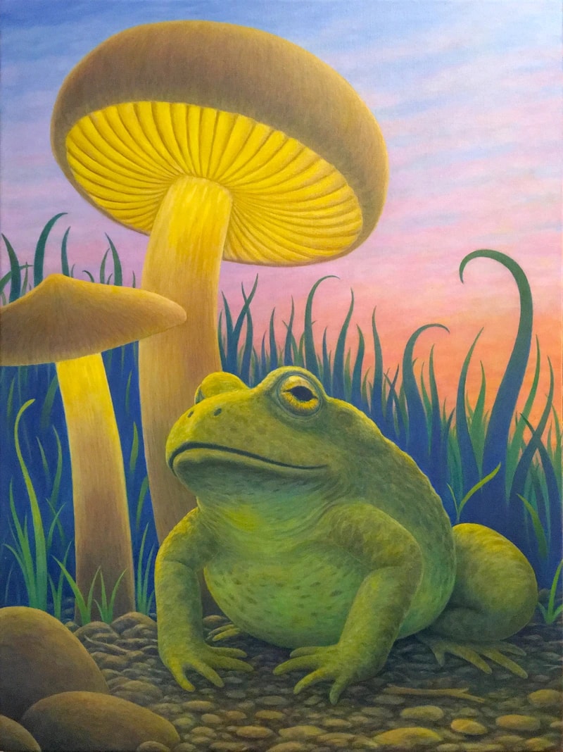 Magic Toad