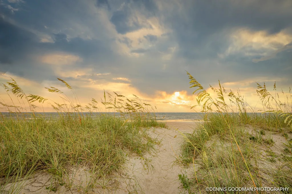 Serenity at Sunset: A Tranquil Beach Landscape Embraced by Gentle Grass and Clouds