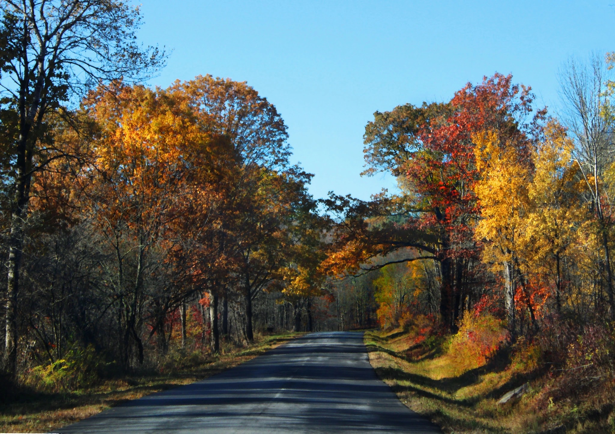 Autumn's Road Trip