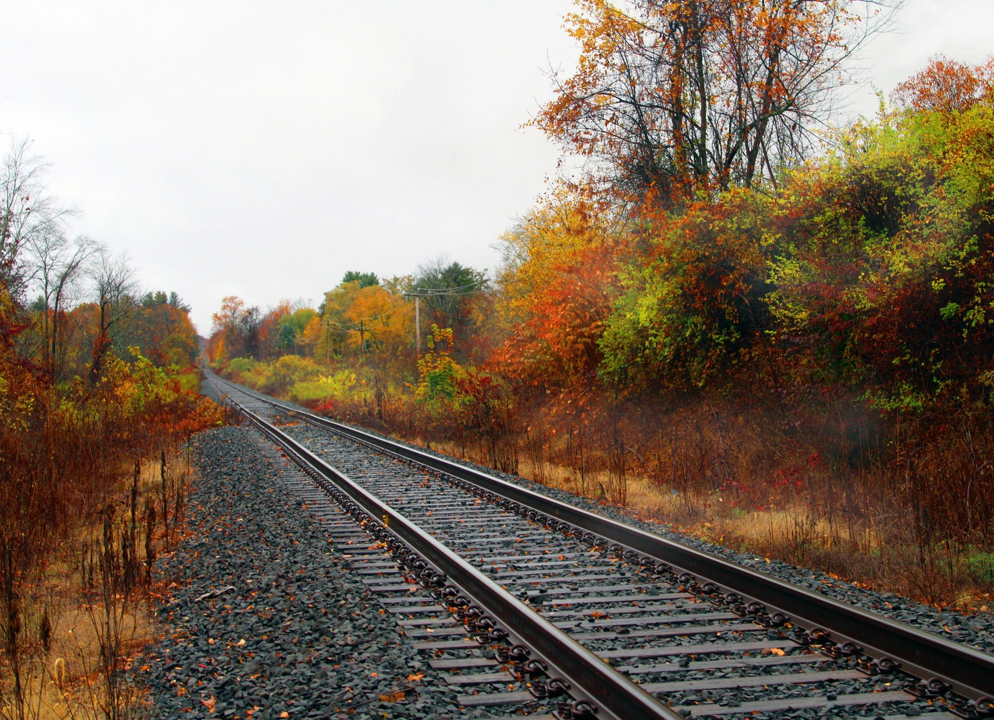 Autumn Tracks