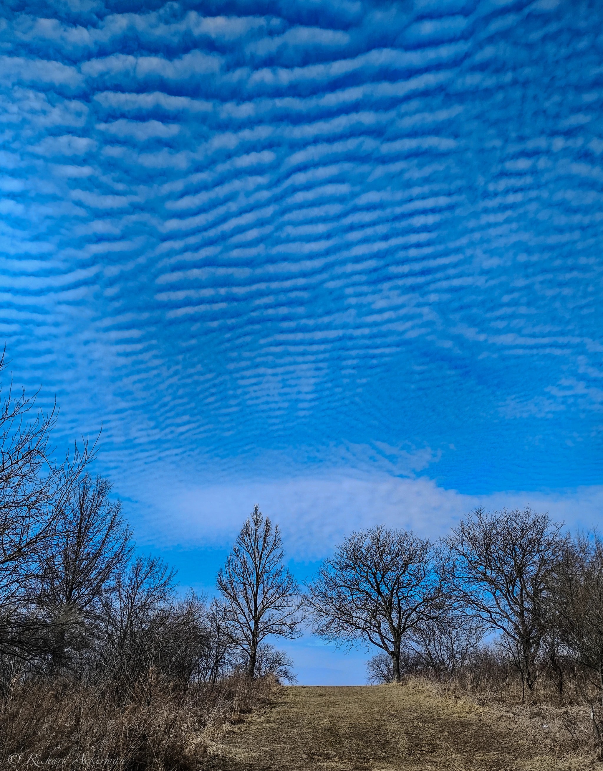 Wave Cloud Horizon