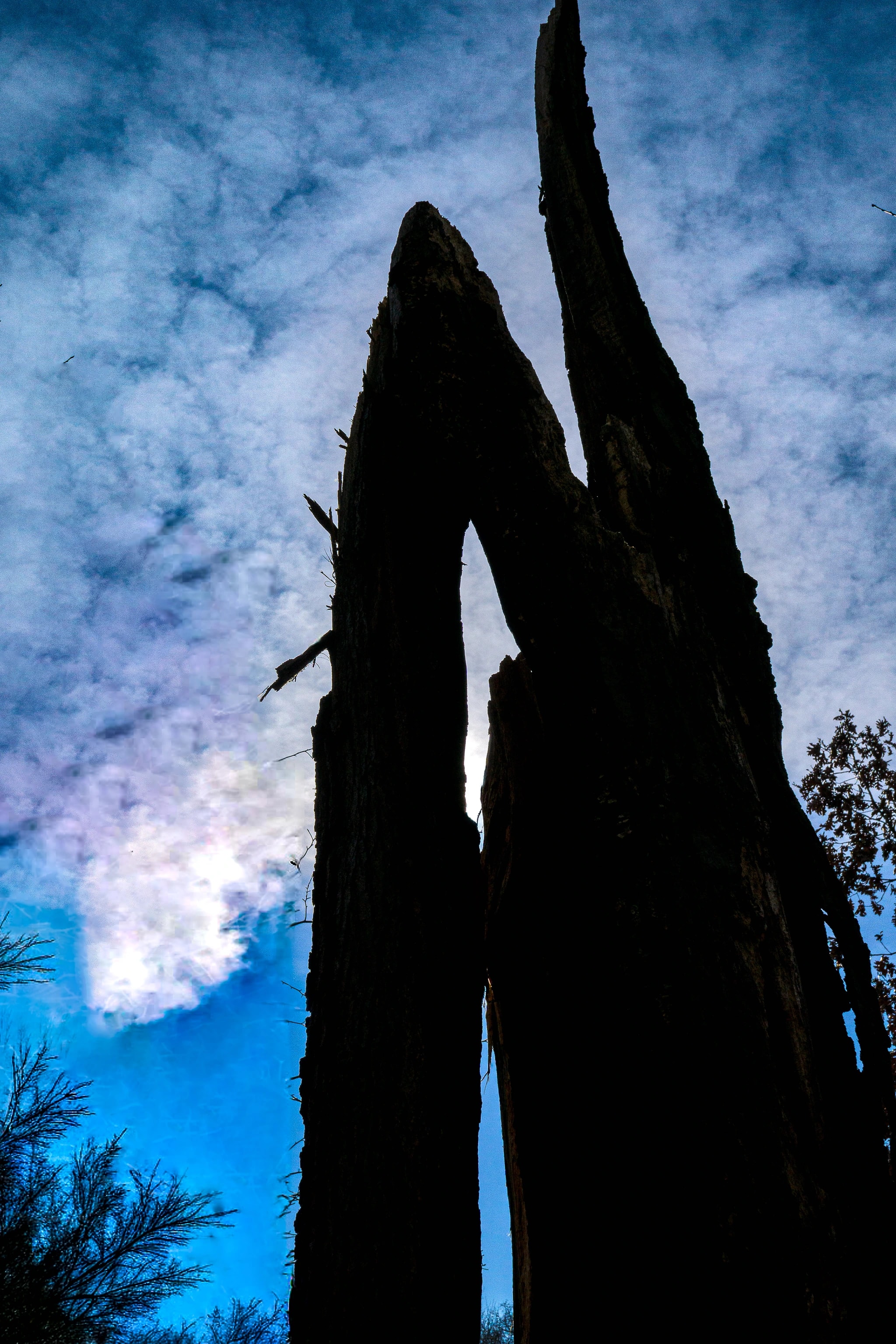 The Sentinel — Tolleston Dune Ridge
