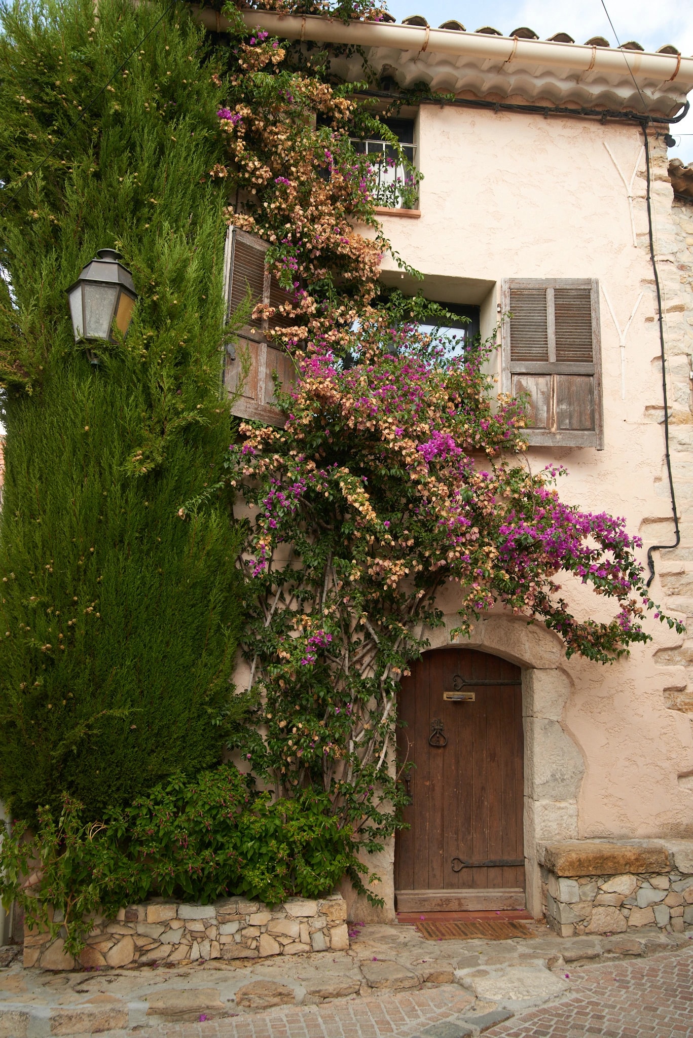Rustic Doorway with Bougainvillea