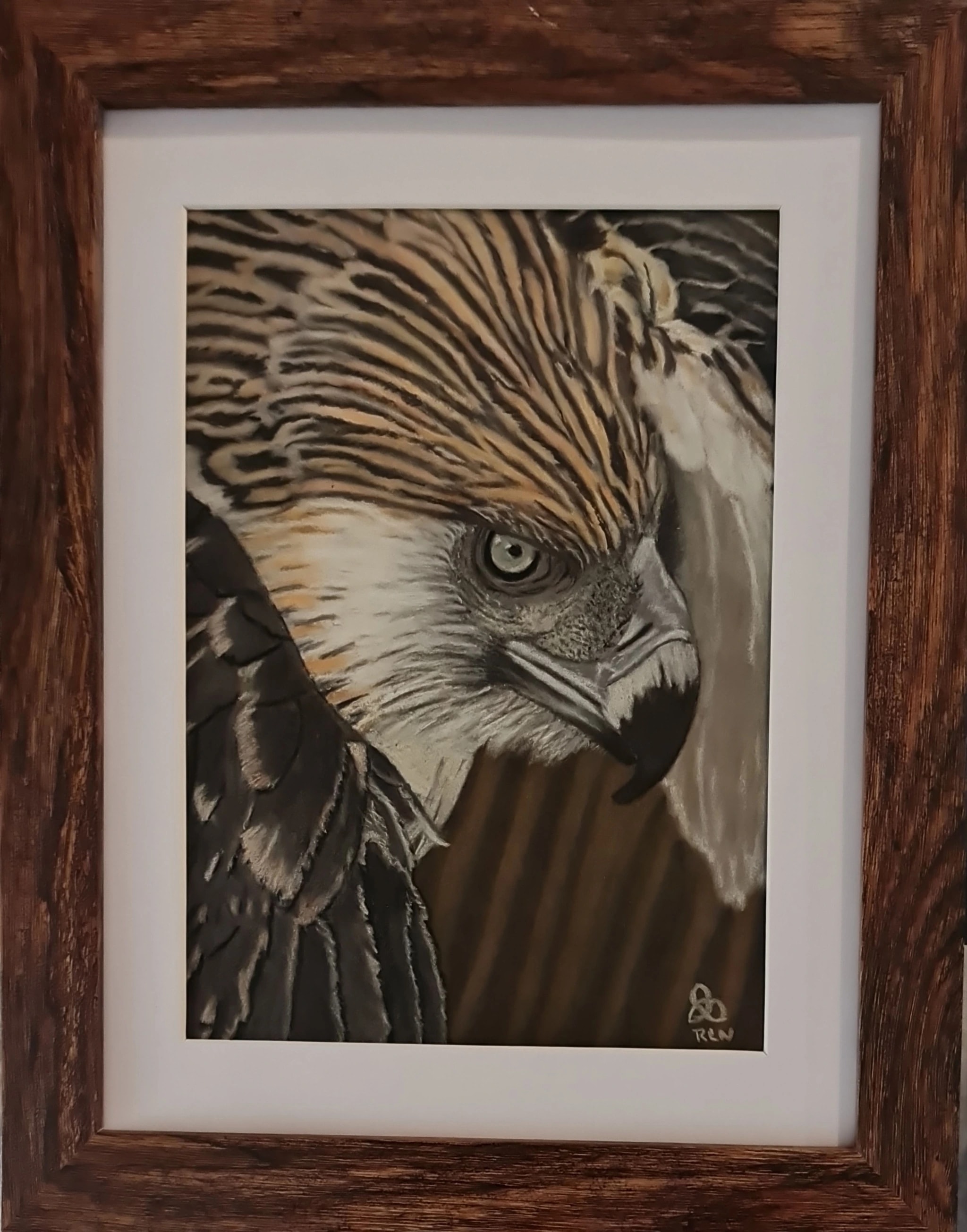 Golden Eagle Portrait