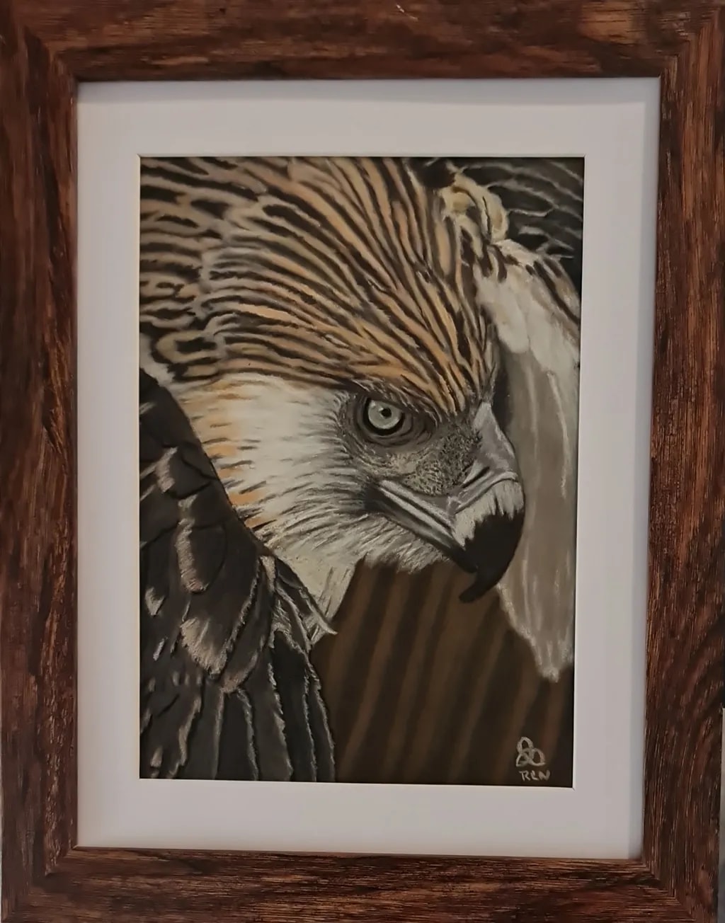 Golden Eagle Portrait