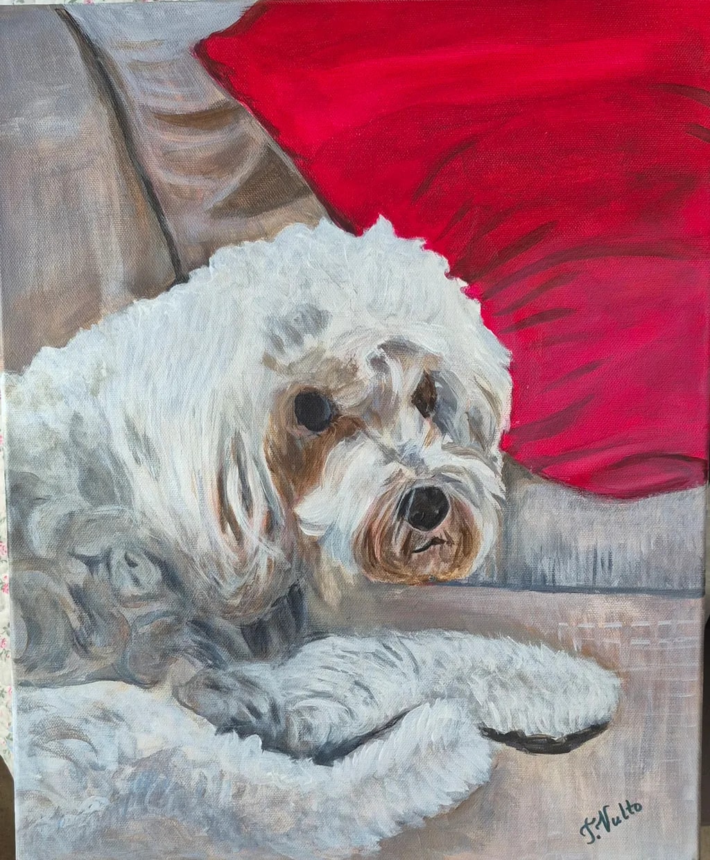 Red Blanket Companion