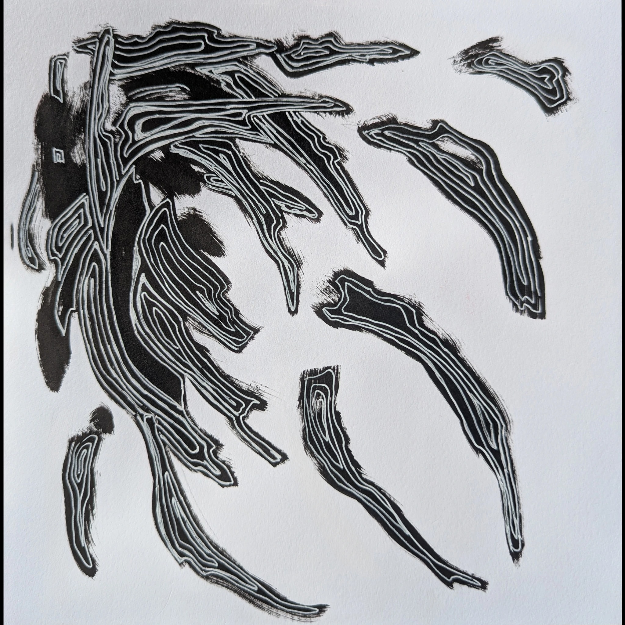 Fluid Lines