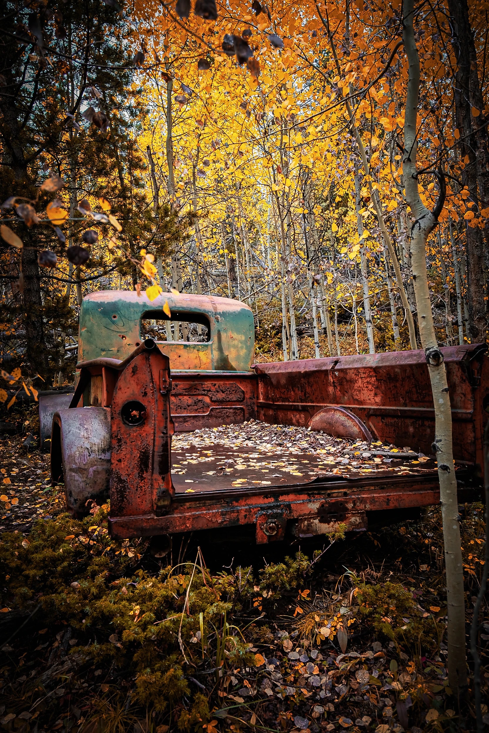 Rust Beneath Autumn