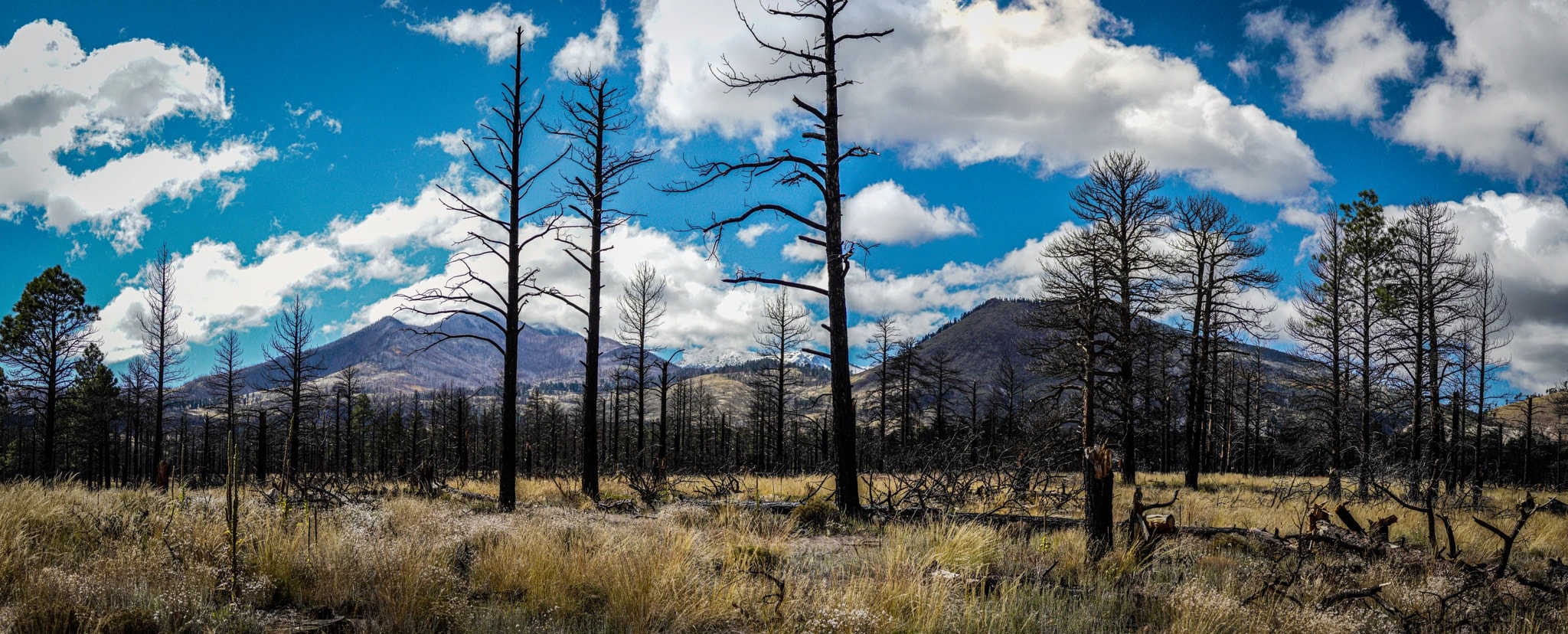 After the Fire