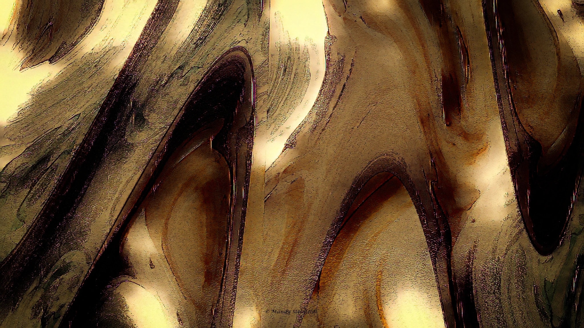 Where Stone Begins to Breathe