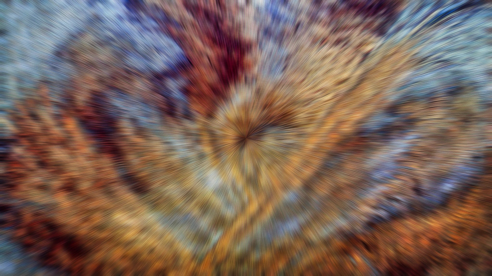 Amber Velocity. 