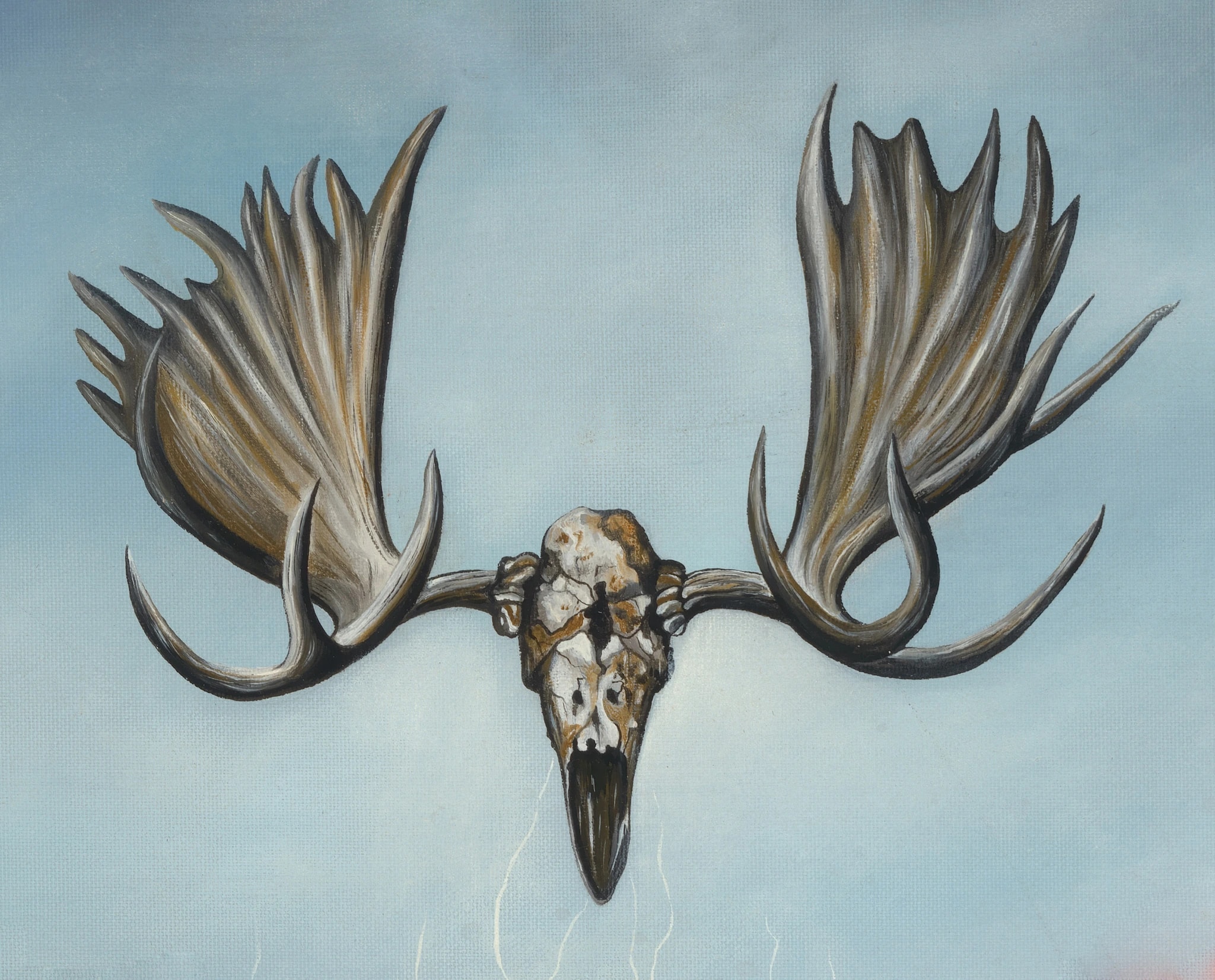 Airborne Antlers