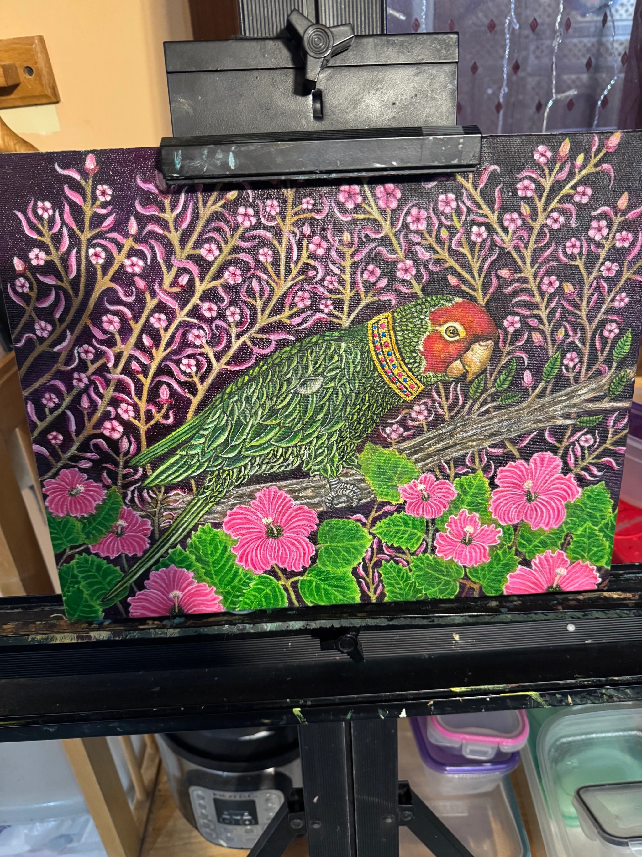Regal Parrot in Bloom