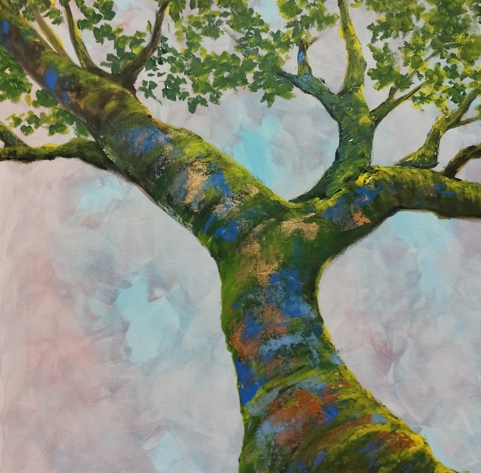 Upward Through the Canopy