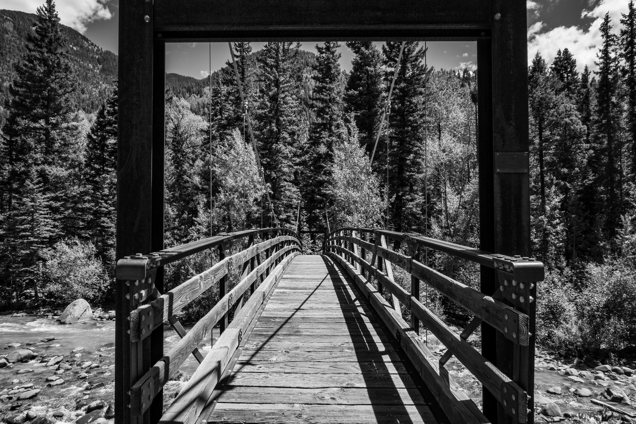 Forest Bridge Crossing