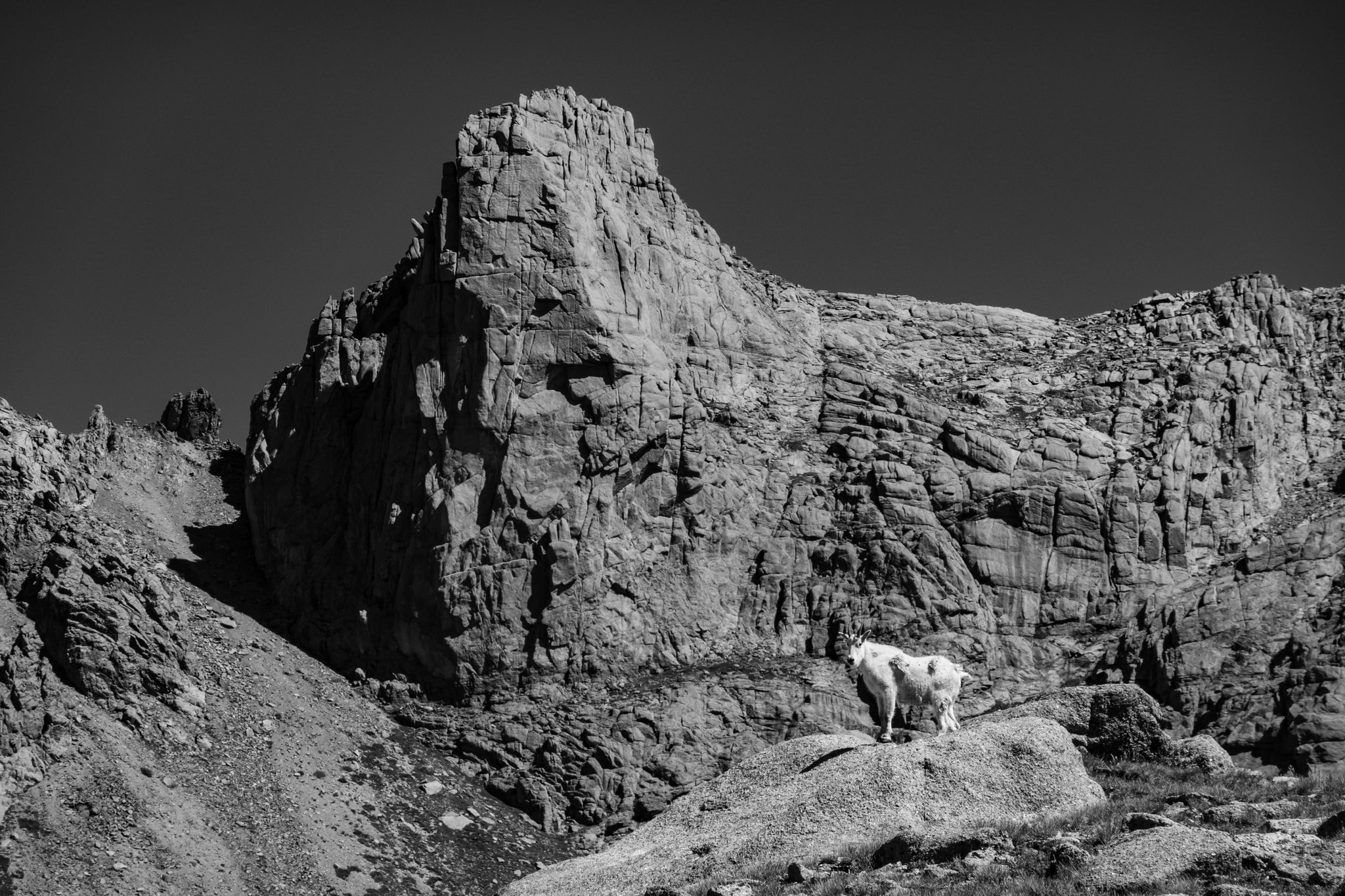 Mountain Goat Stronghold