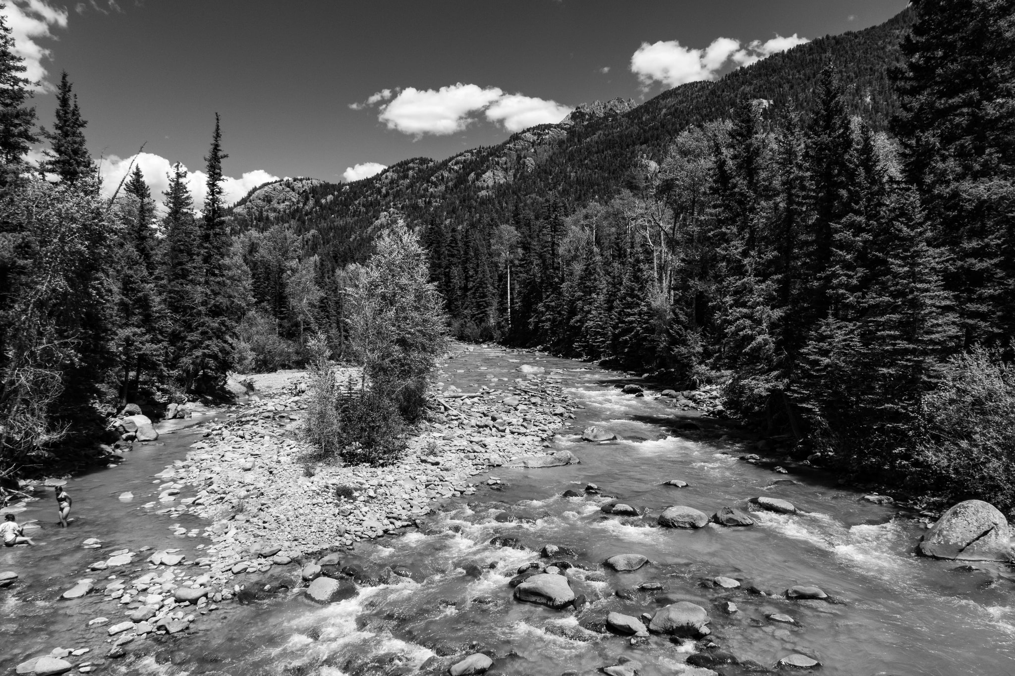 Mountain River Through Forest