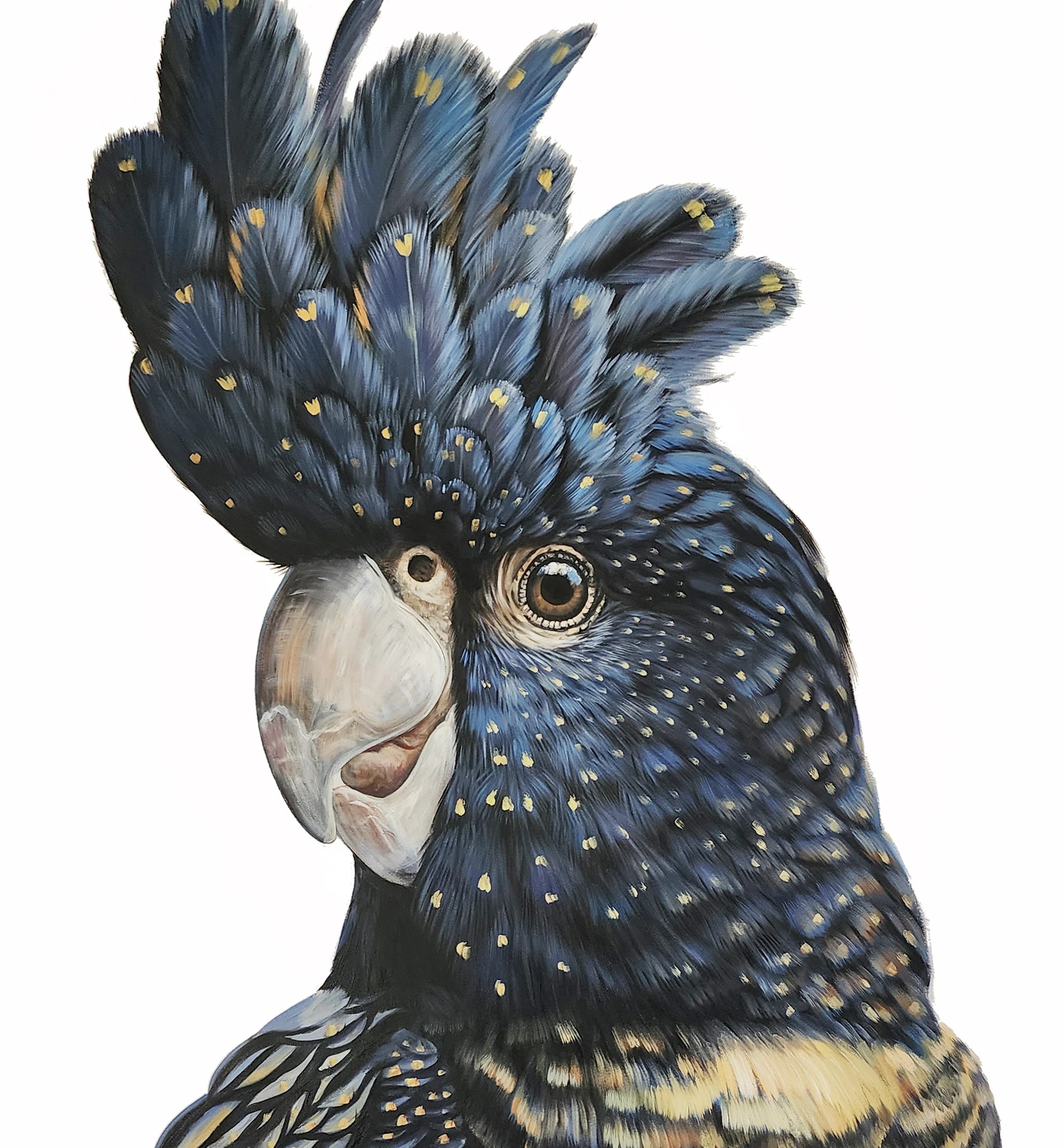 Majestic Blue Feathers: A Close-Up Encounter with Nature's Charm!