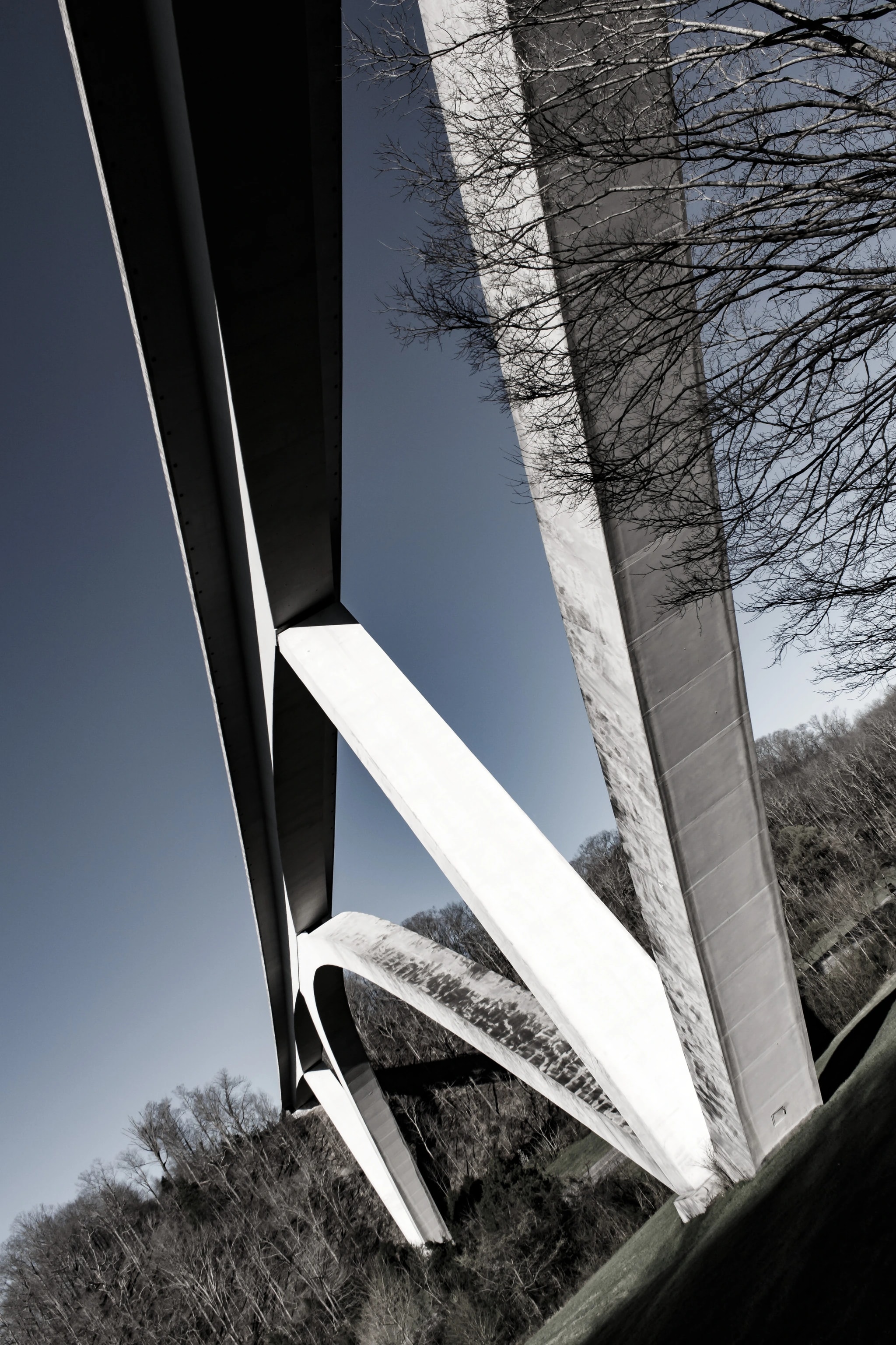 Natchez Trace Bridge