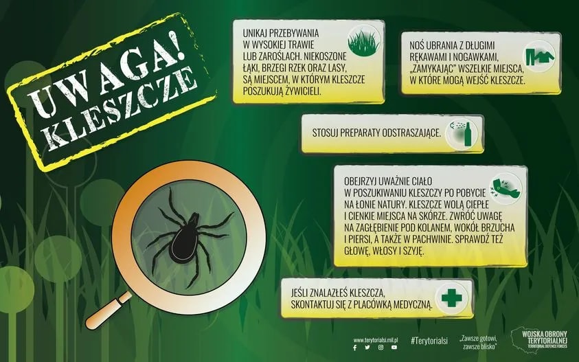 Stay Safe: Essential Tips for Avoiding Ticks in Nature