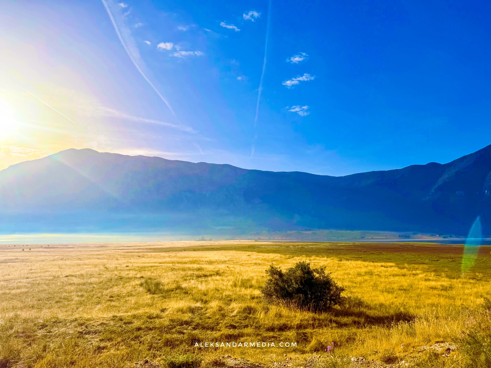 Mountain Meadow Sunlight