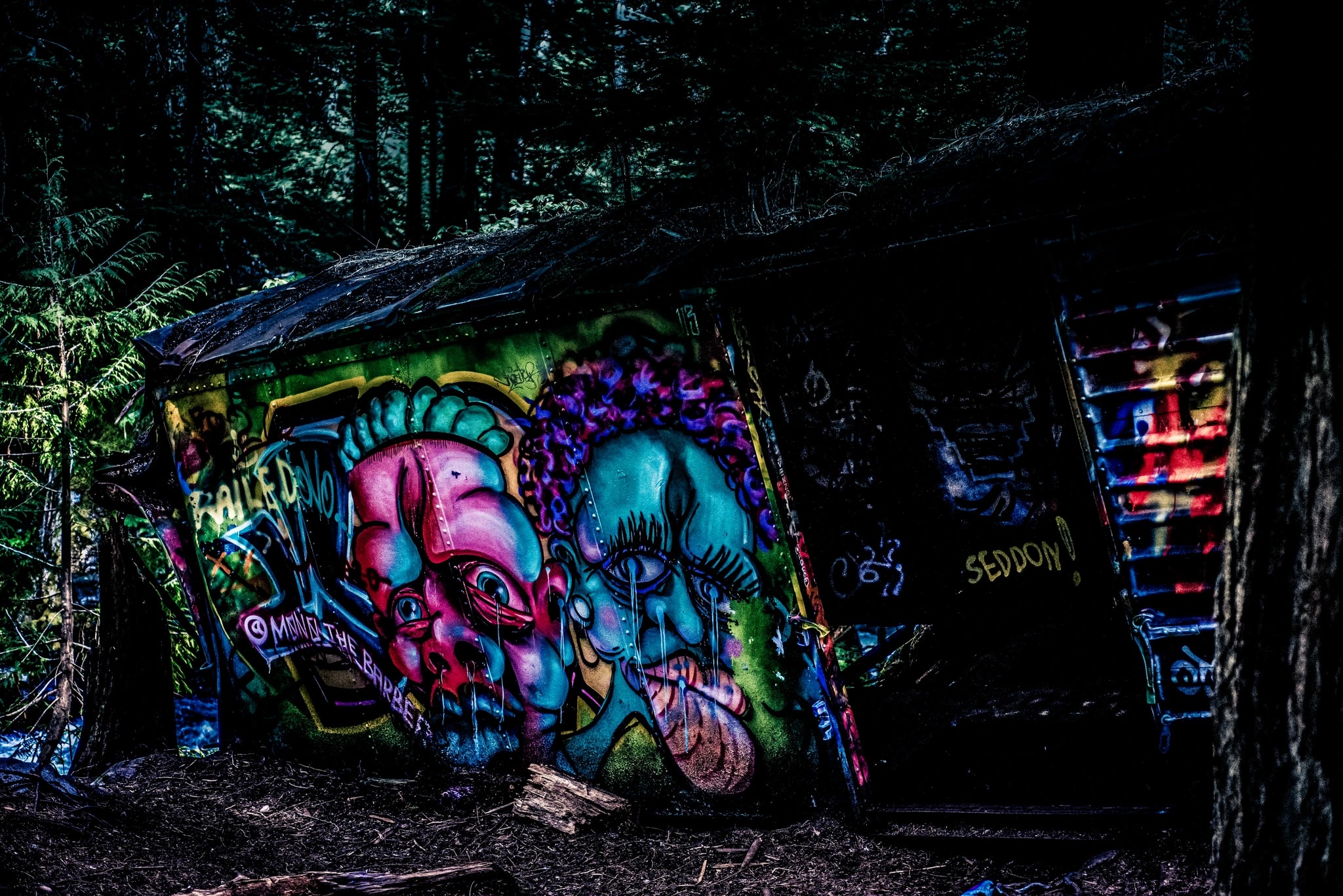 Forgotten Forest Faces