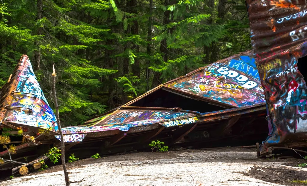 Whispers of Decay: Nature's Embrace on Abandoned Urban Artistry