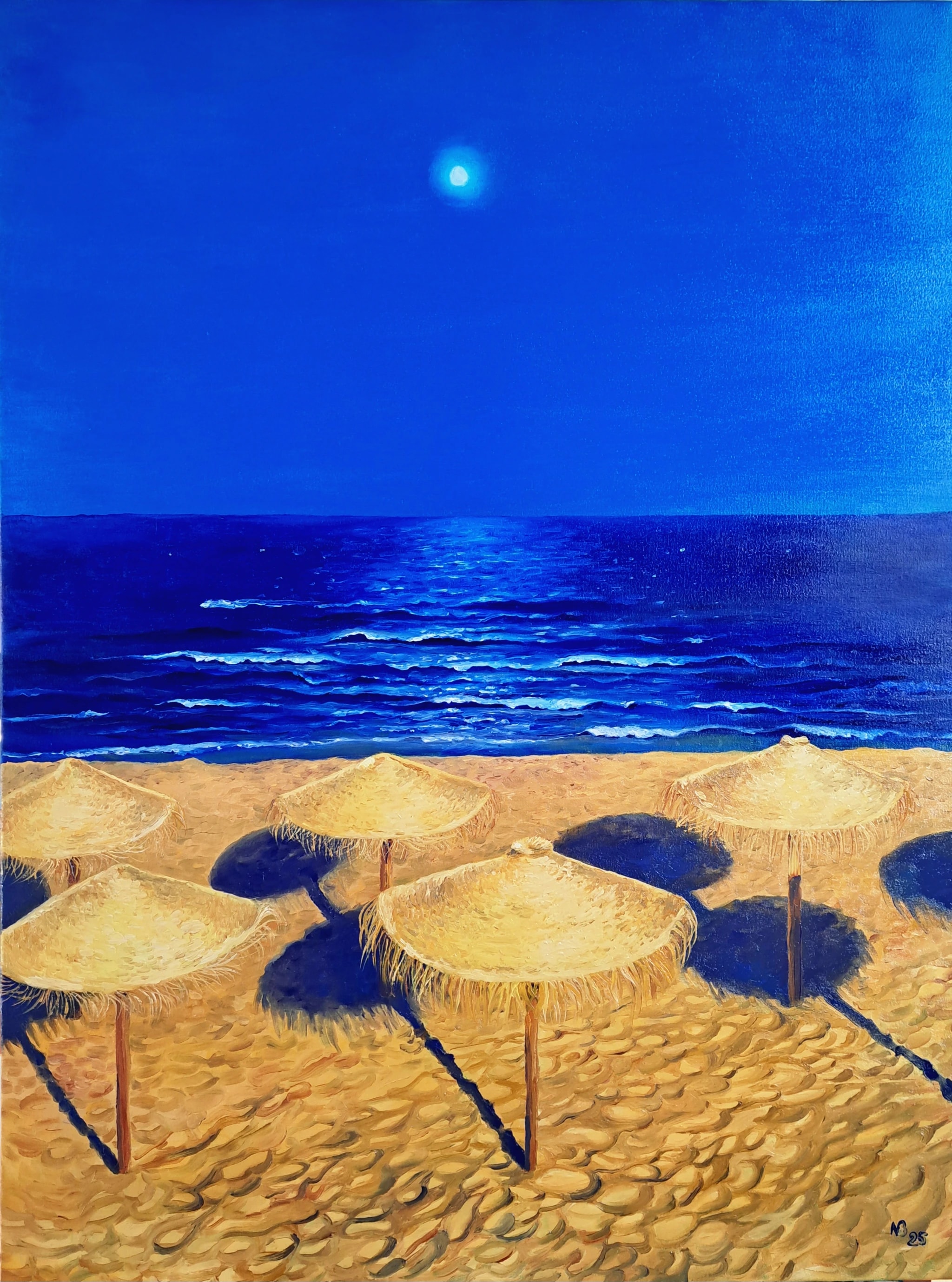 Beach in the moonlight