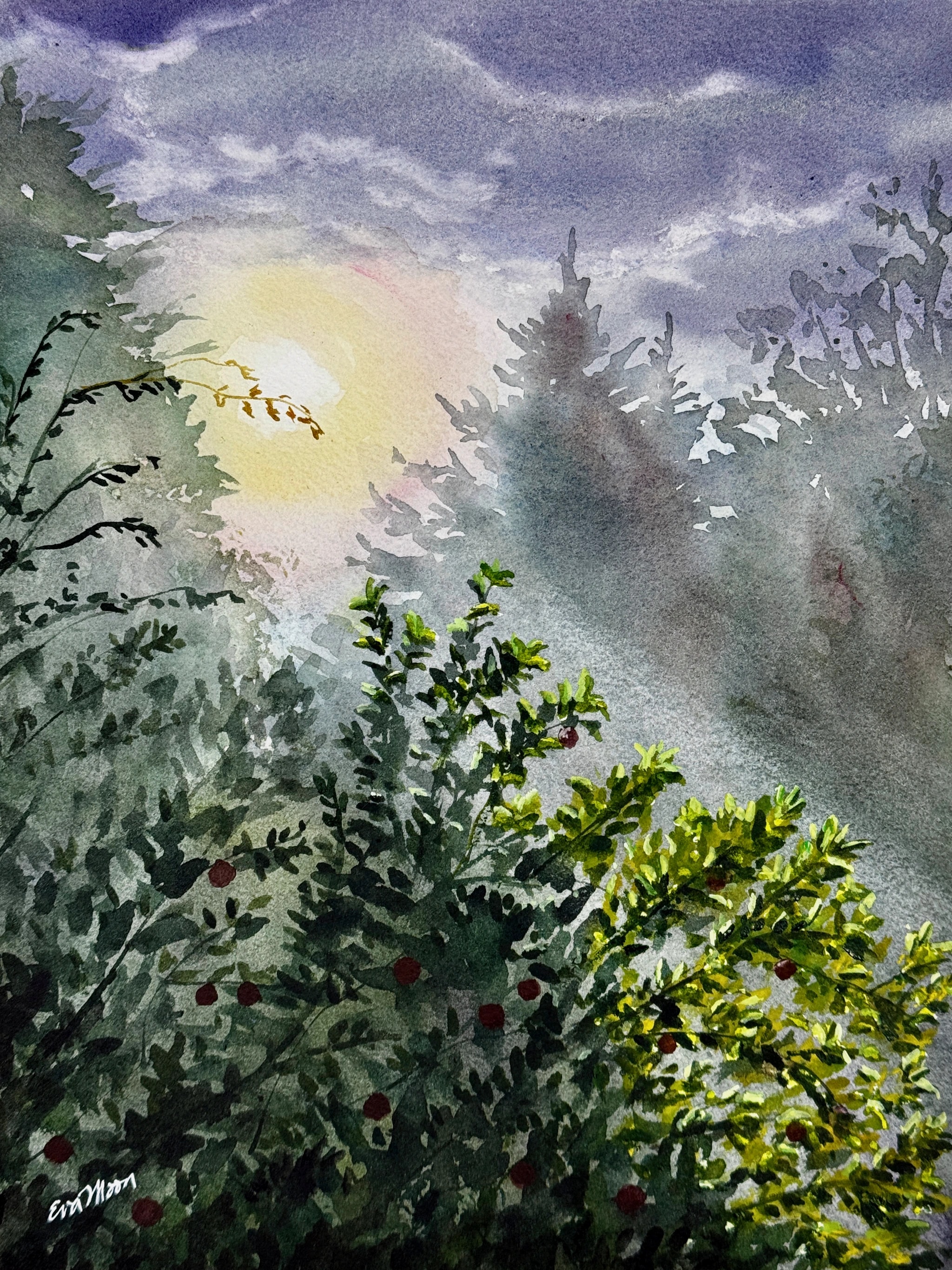 My Neighbor's Apples