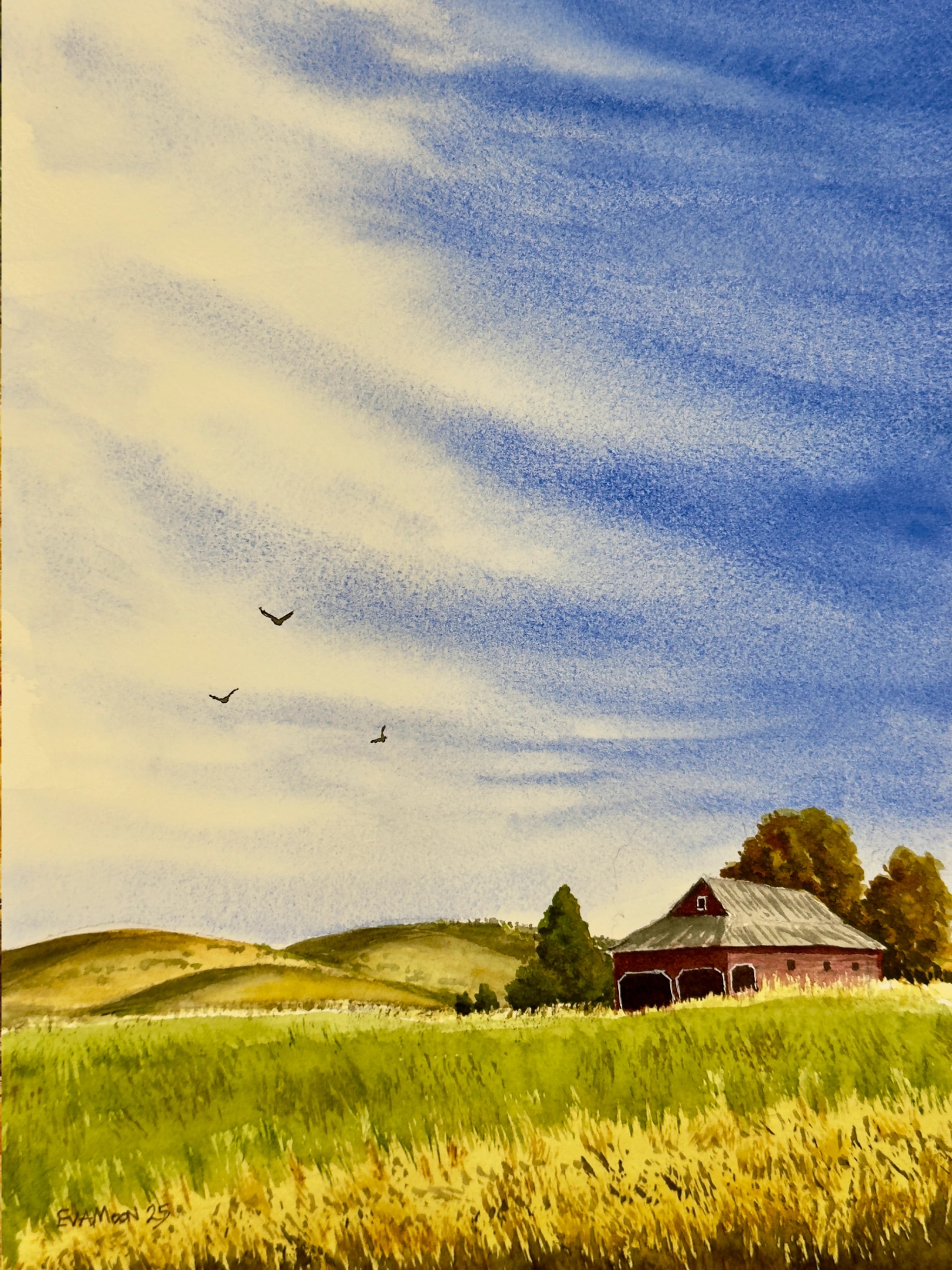 Sky Over the Palouse