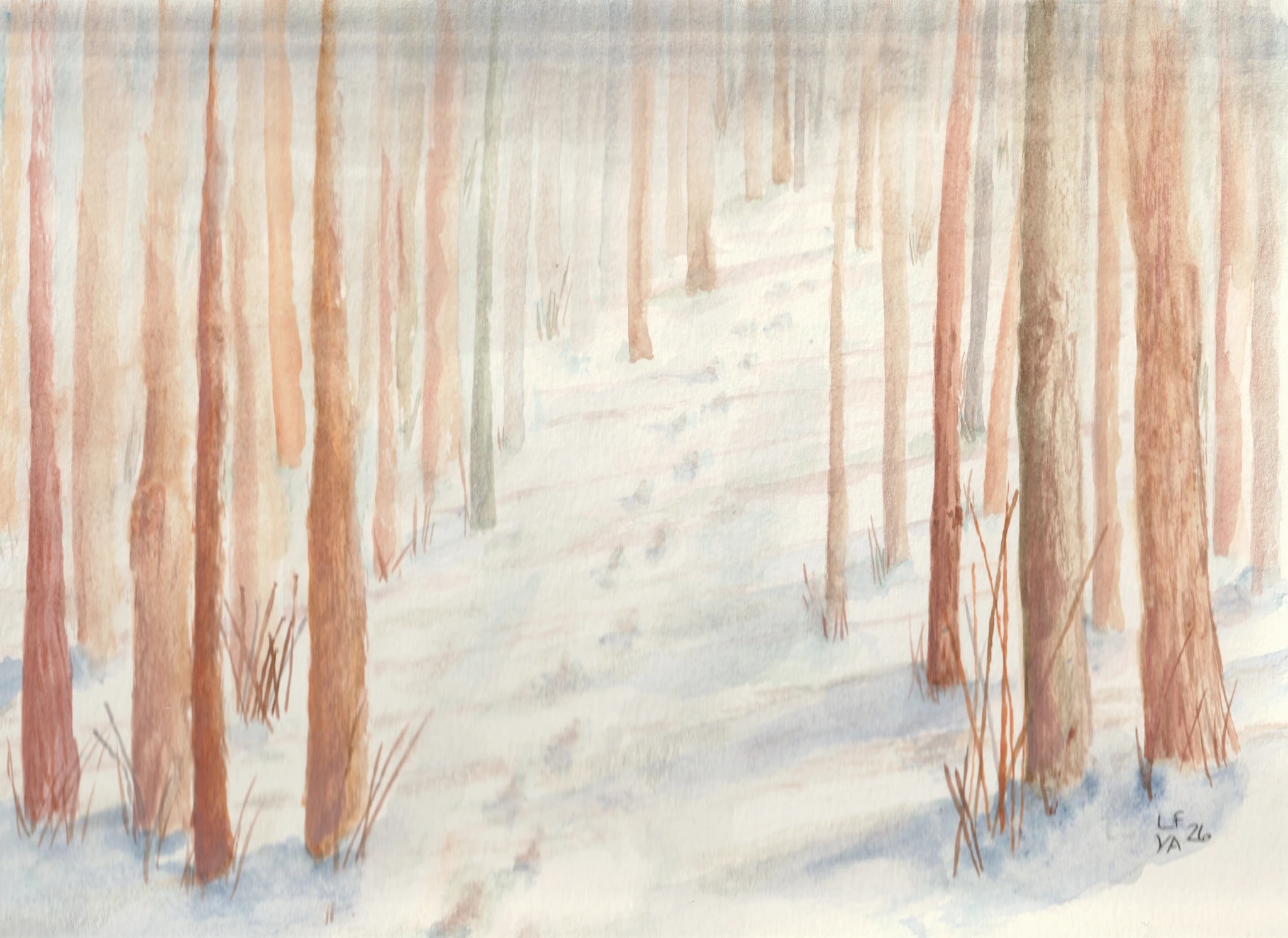 Winter's Pathway