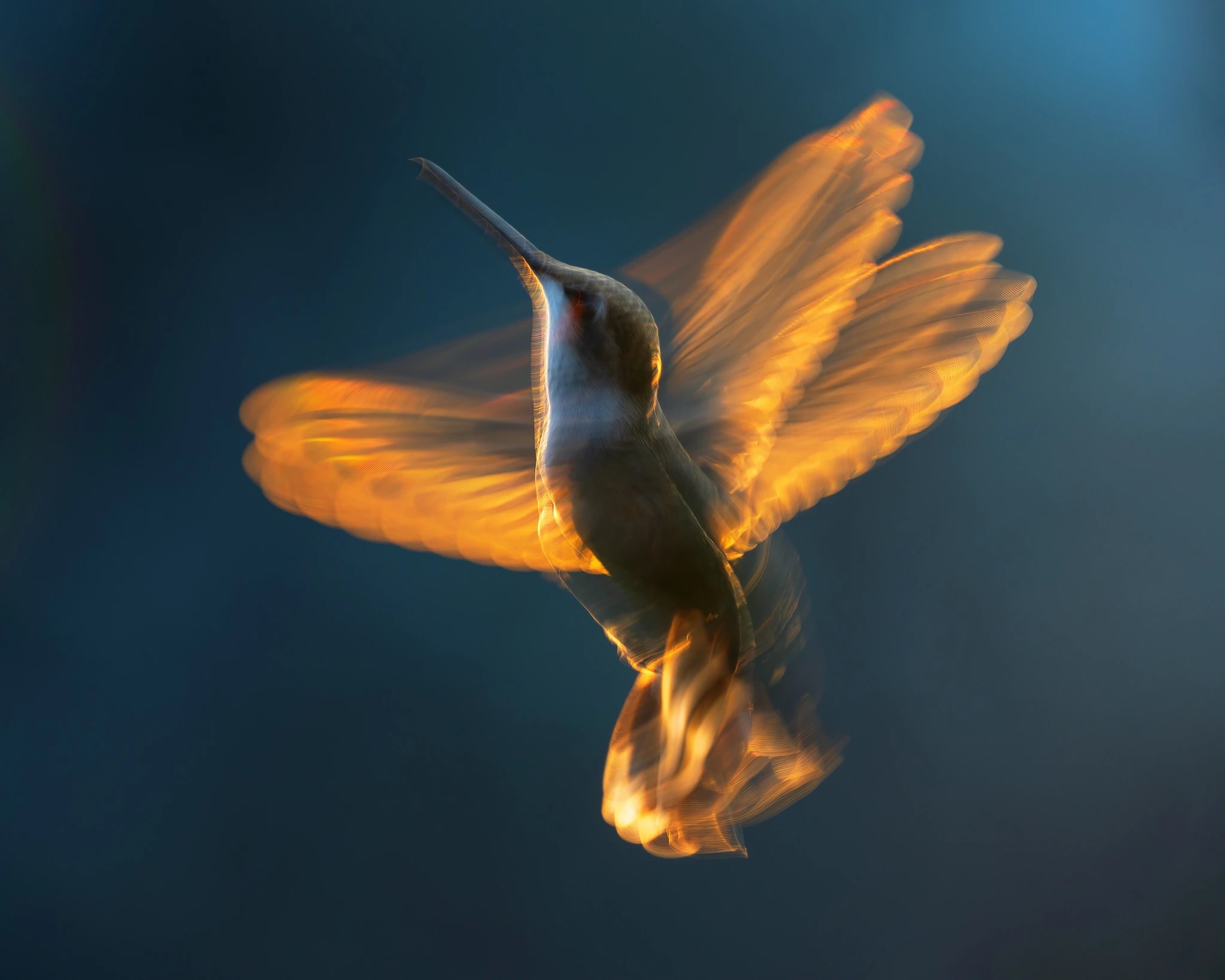Hummingfire