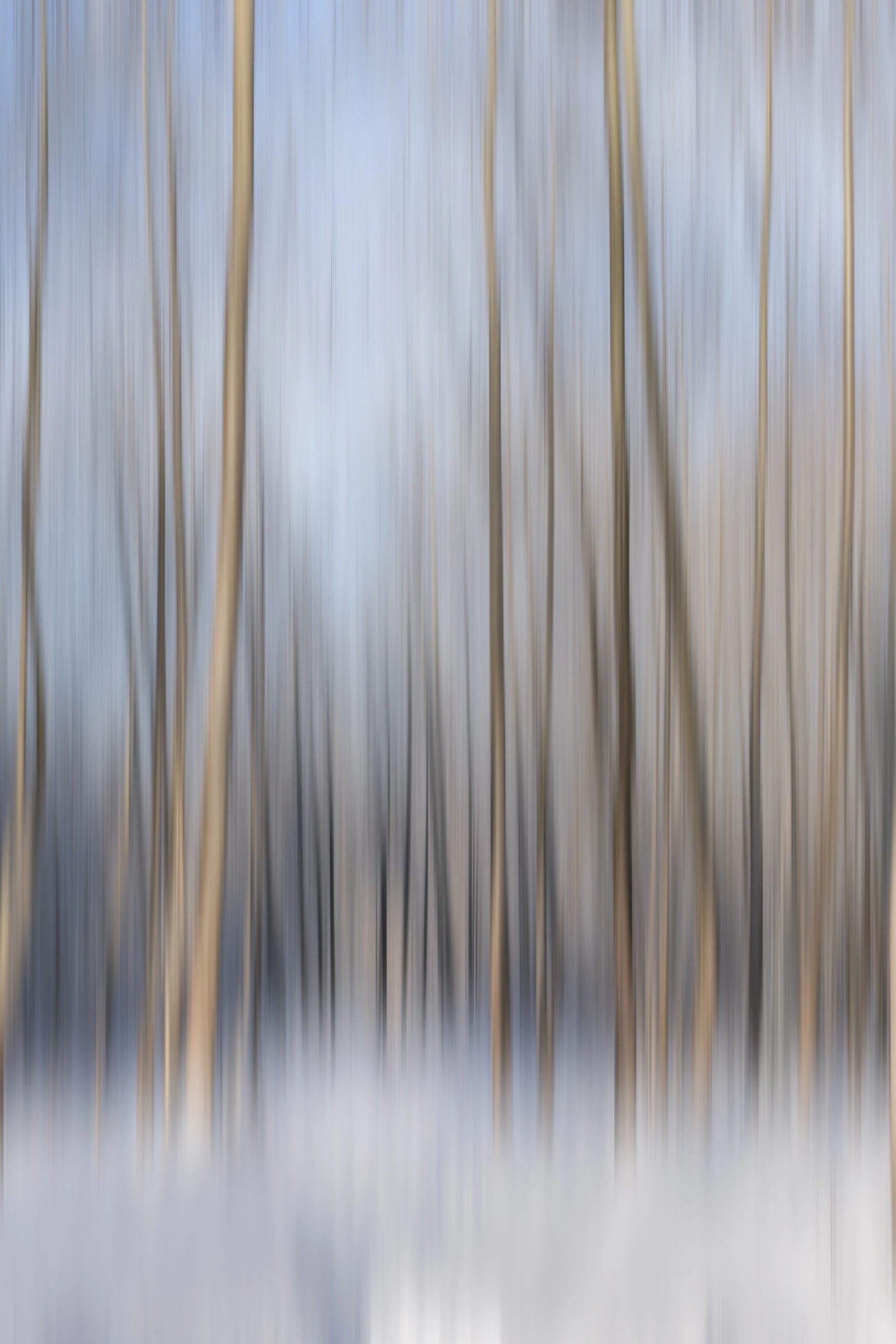 Abstract Trees
