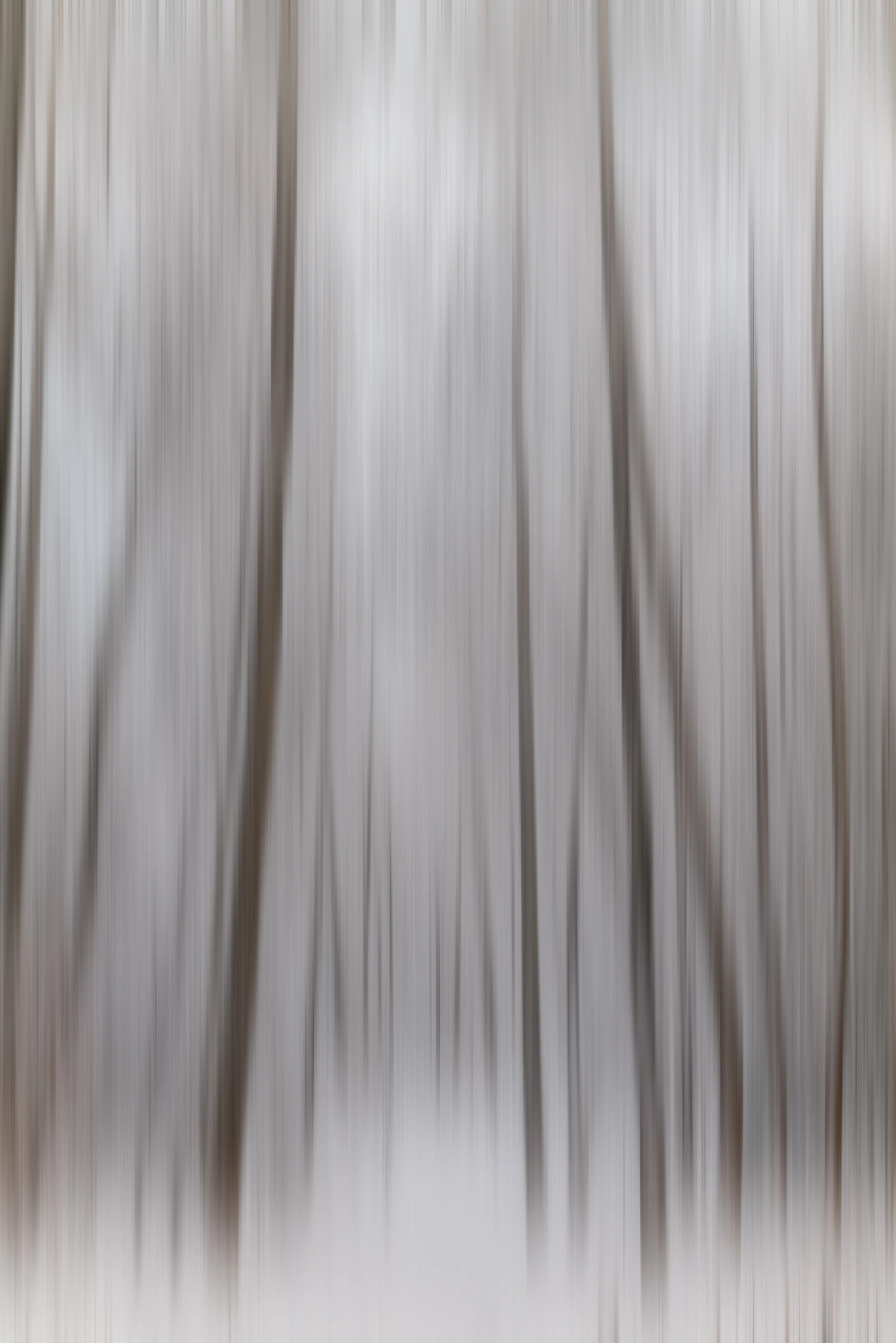 Abstract Trees