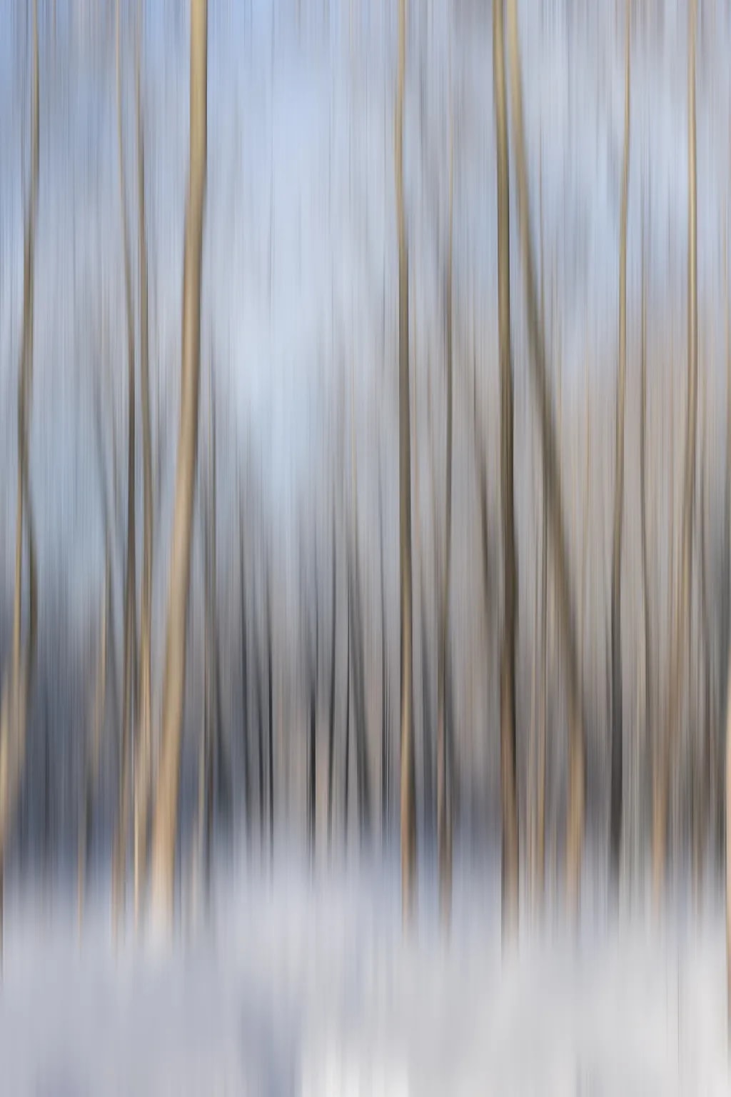 Abstract Trees