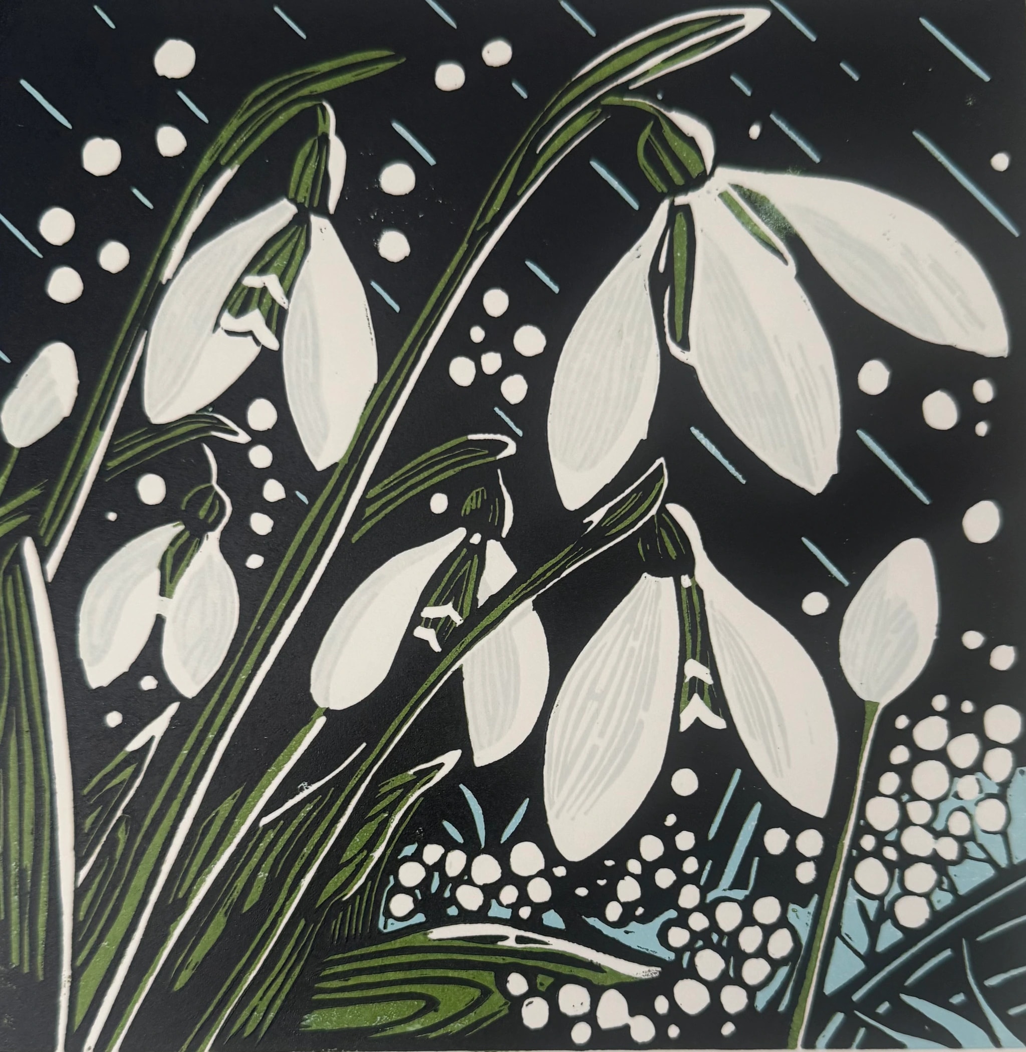 Snowdrops