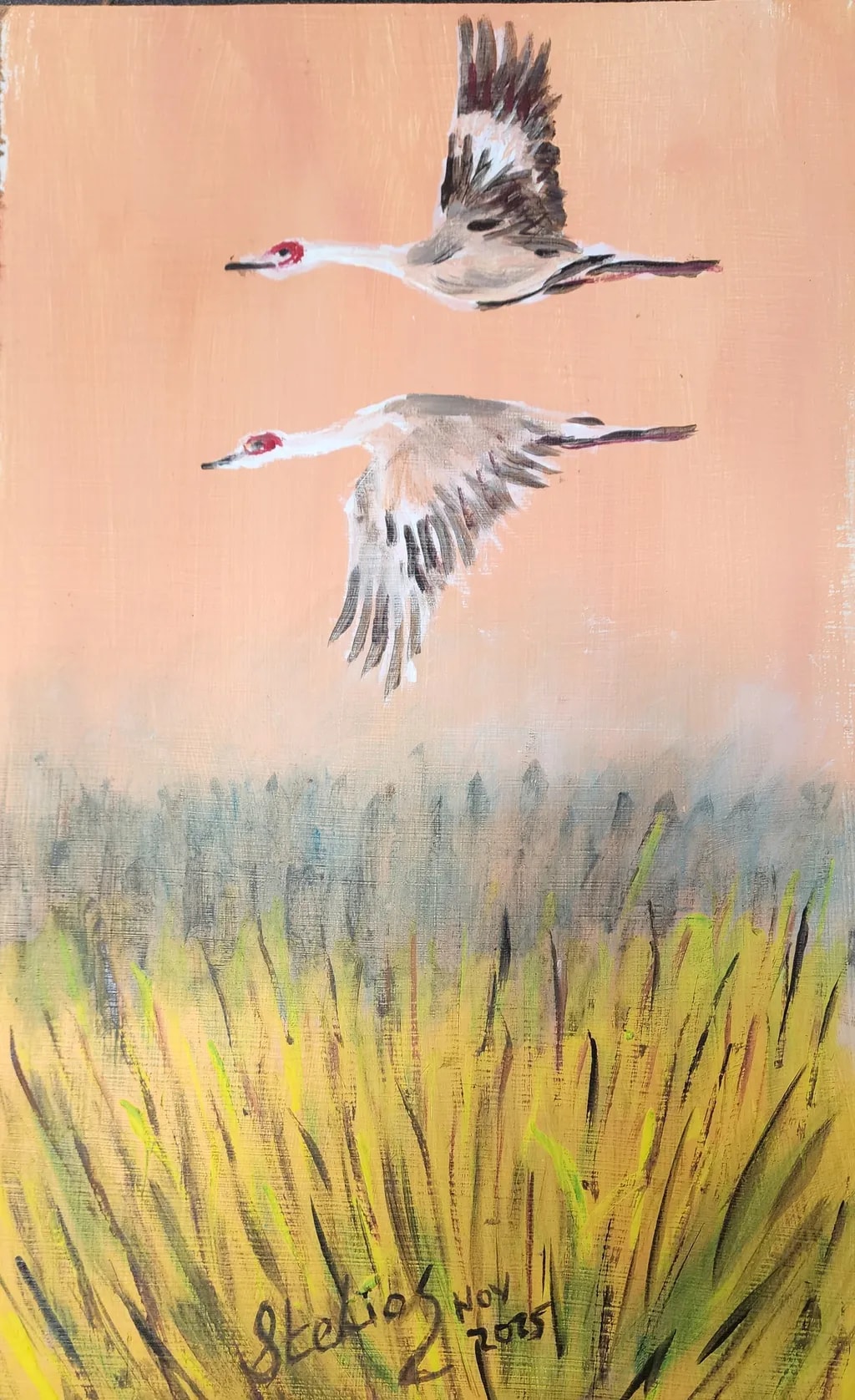 Flight Over Reeds