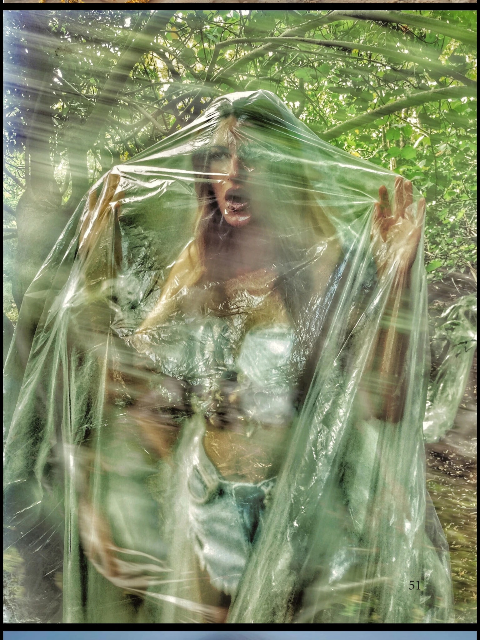 Veiled in the Forest