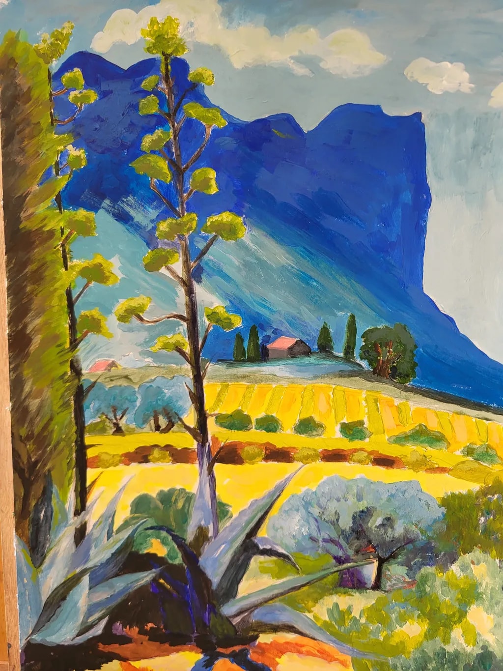 Blue Ridge Fields