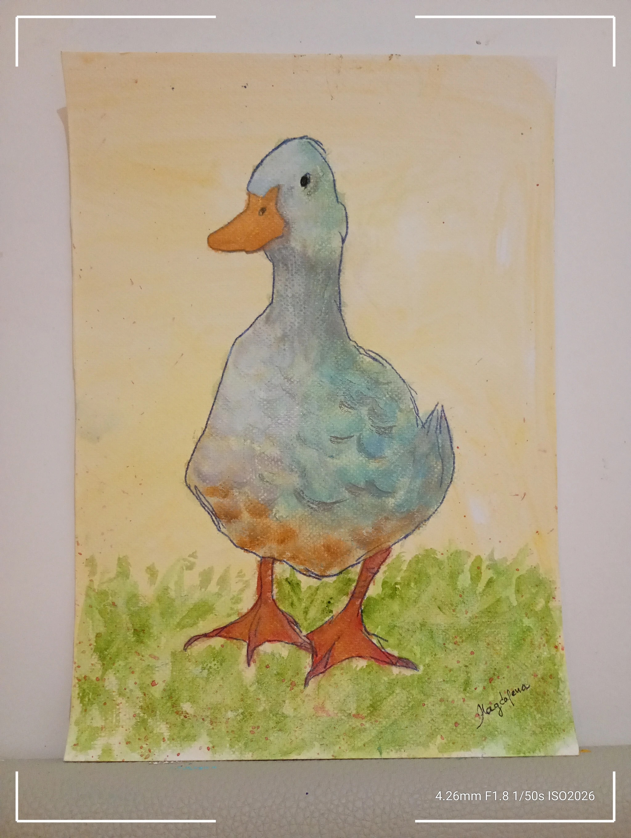 Golden Meadow Duck