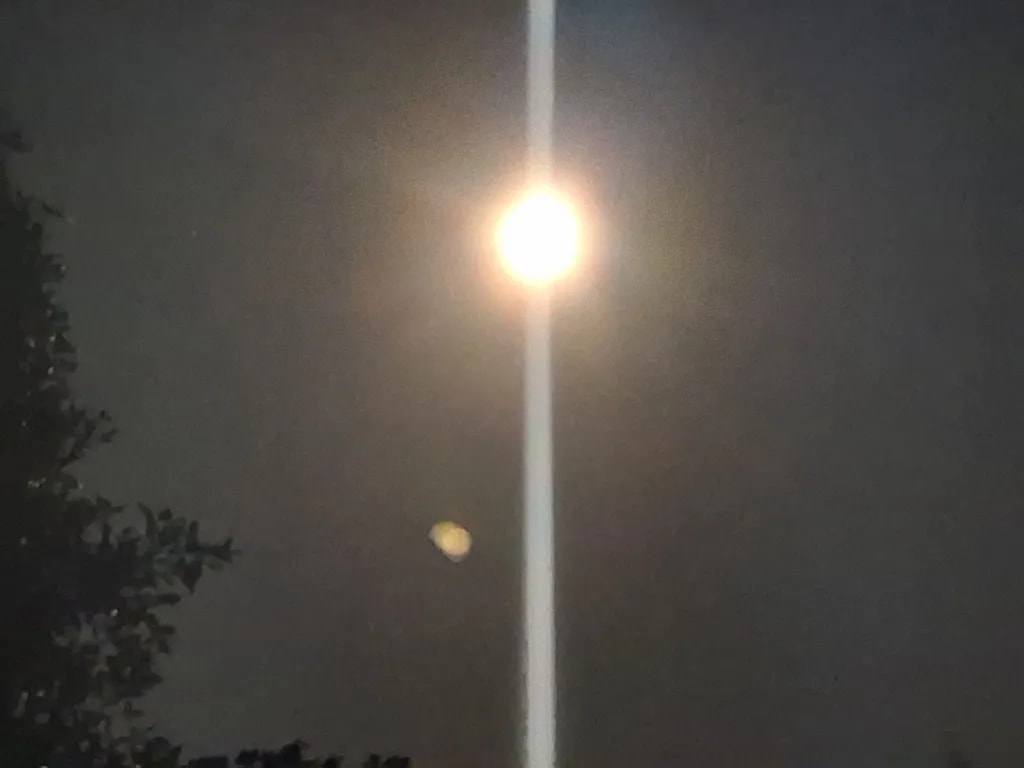 Moonlight Beam