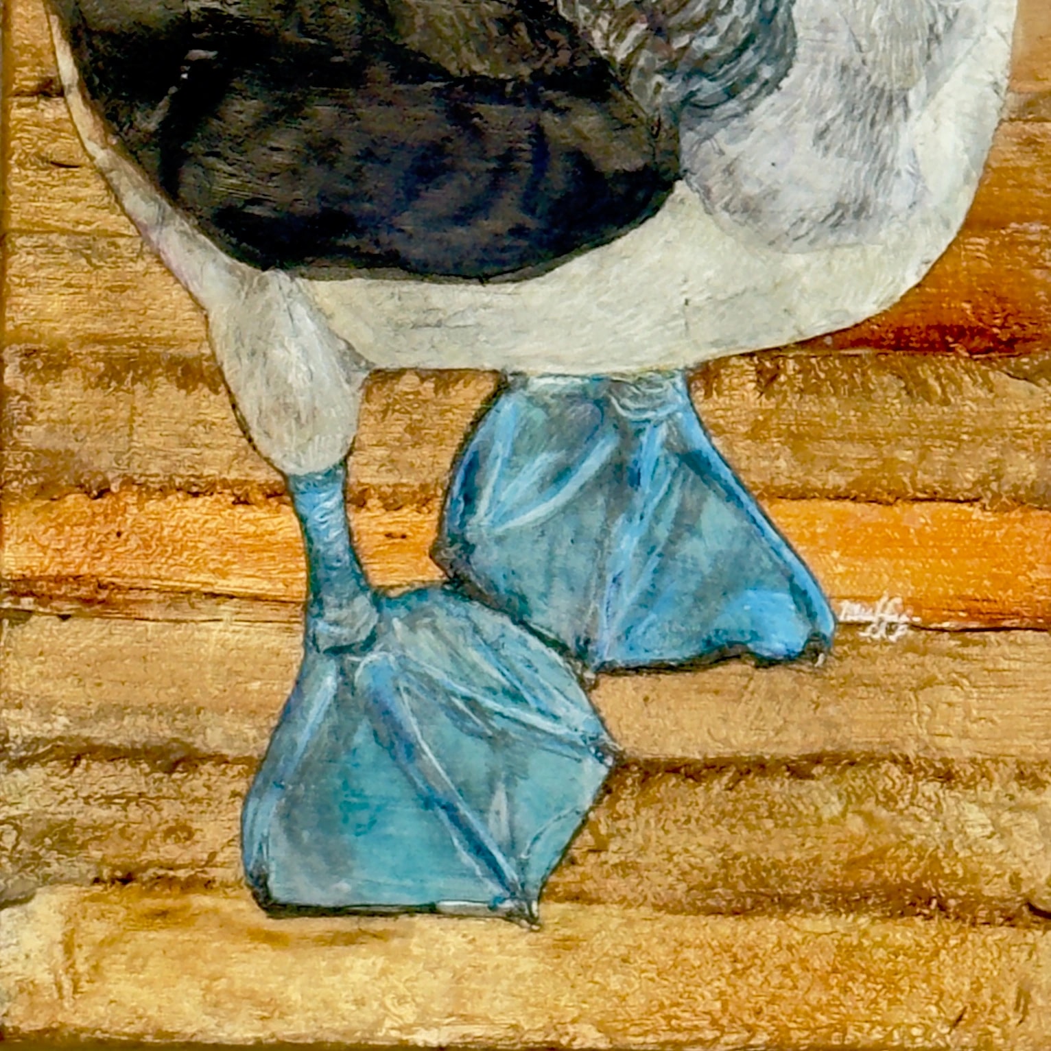 Blue-Footed Pause