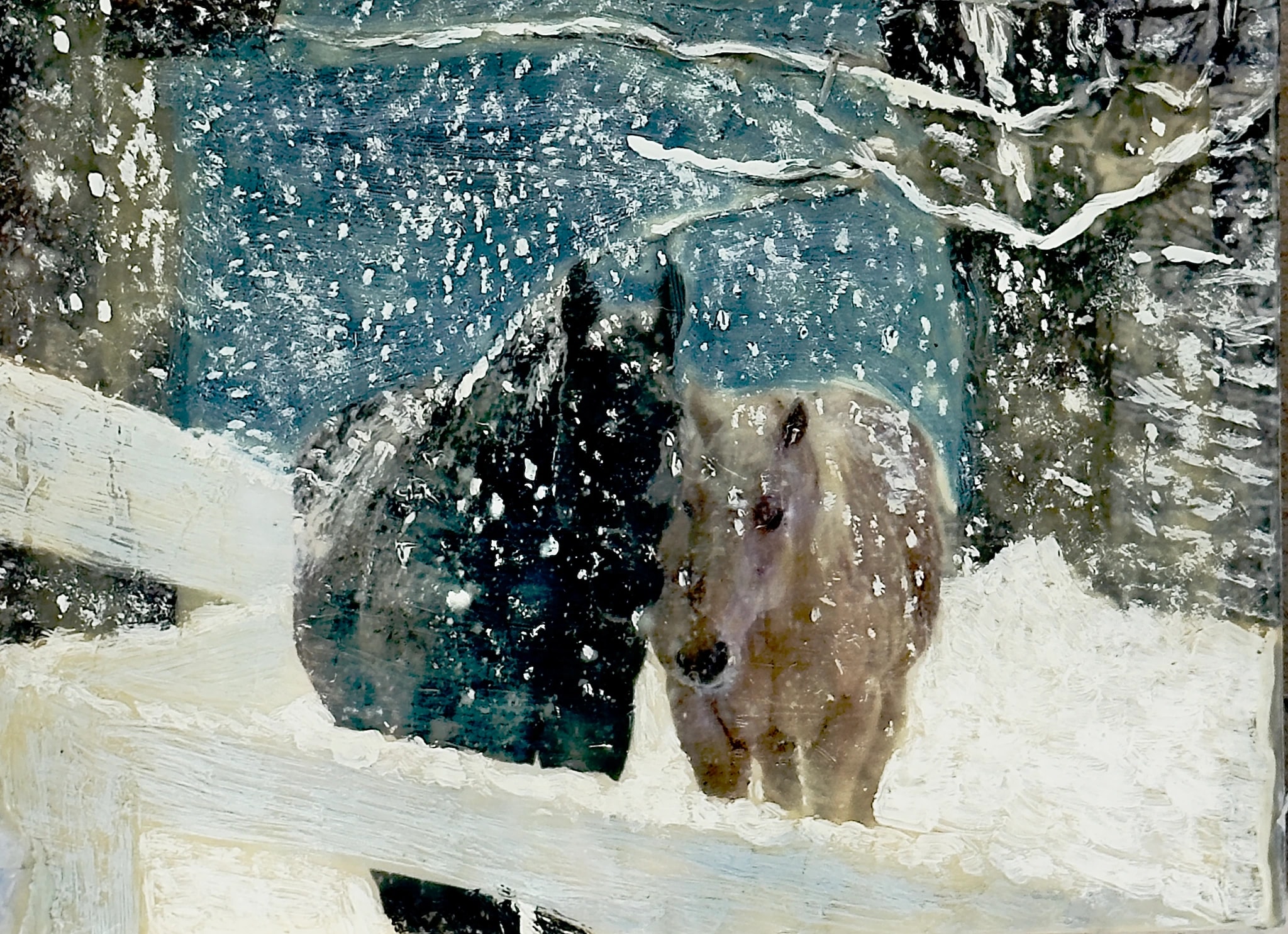 Winter Companions