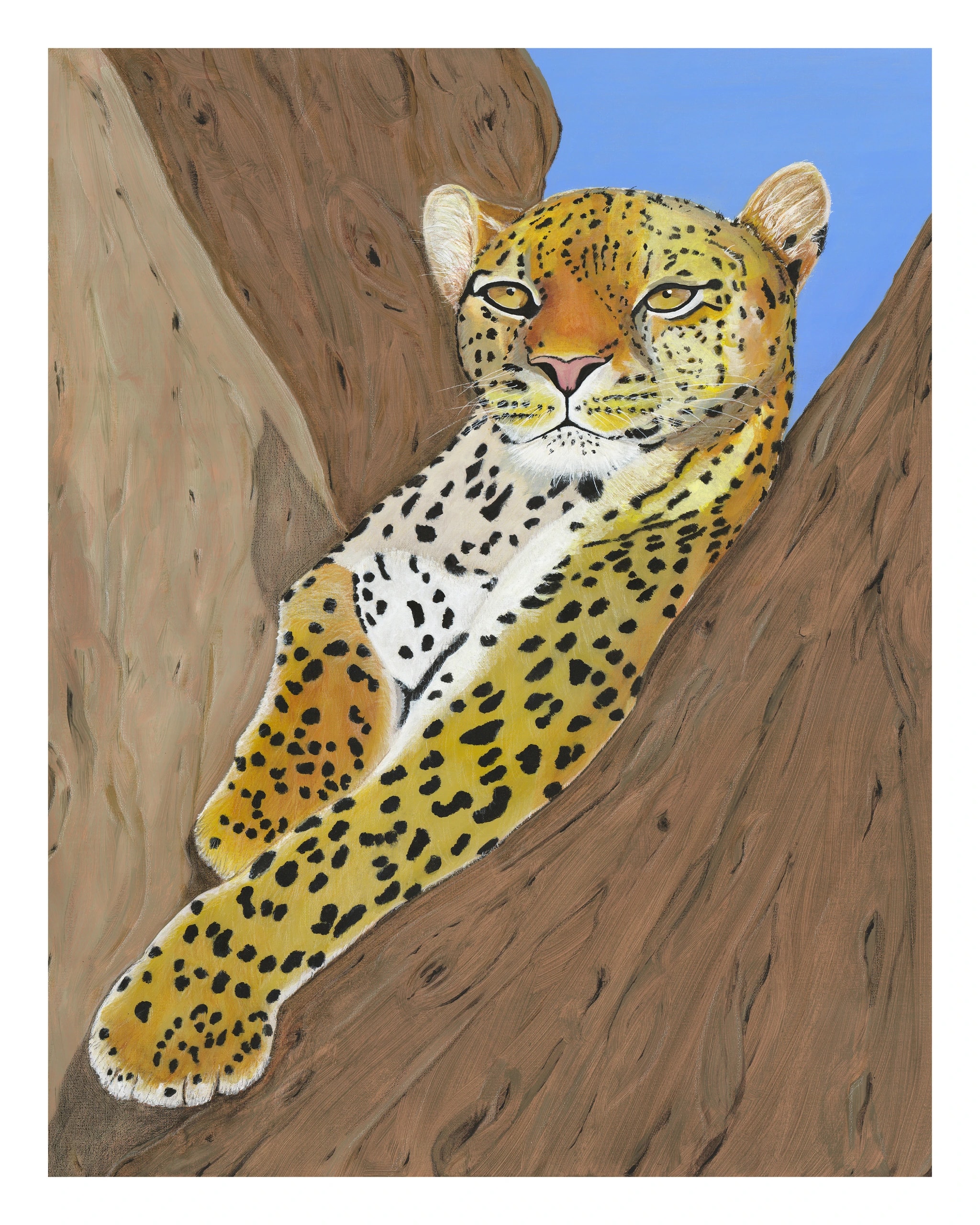 Leopard Resting